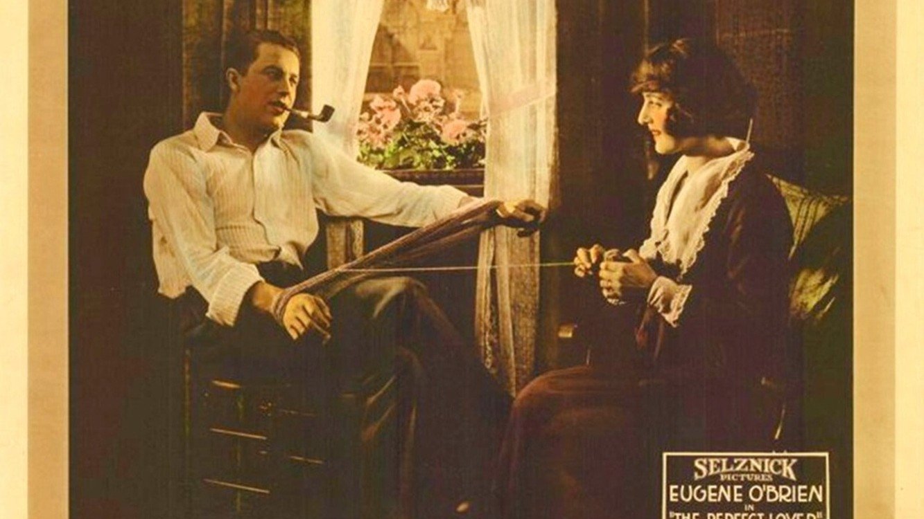 The Perfect Lover (1919)