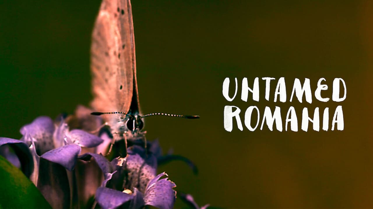 Untamed Romania