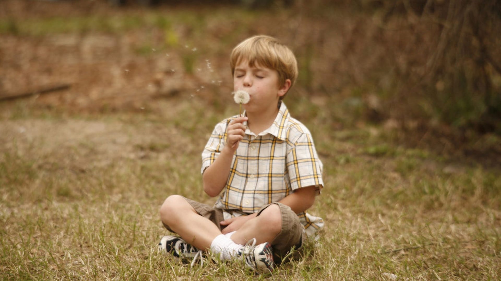 Like Dandelion Dust (2009)
