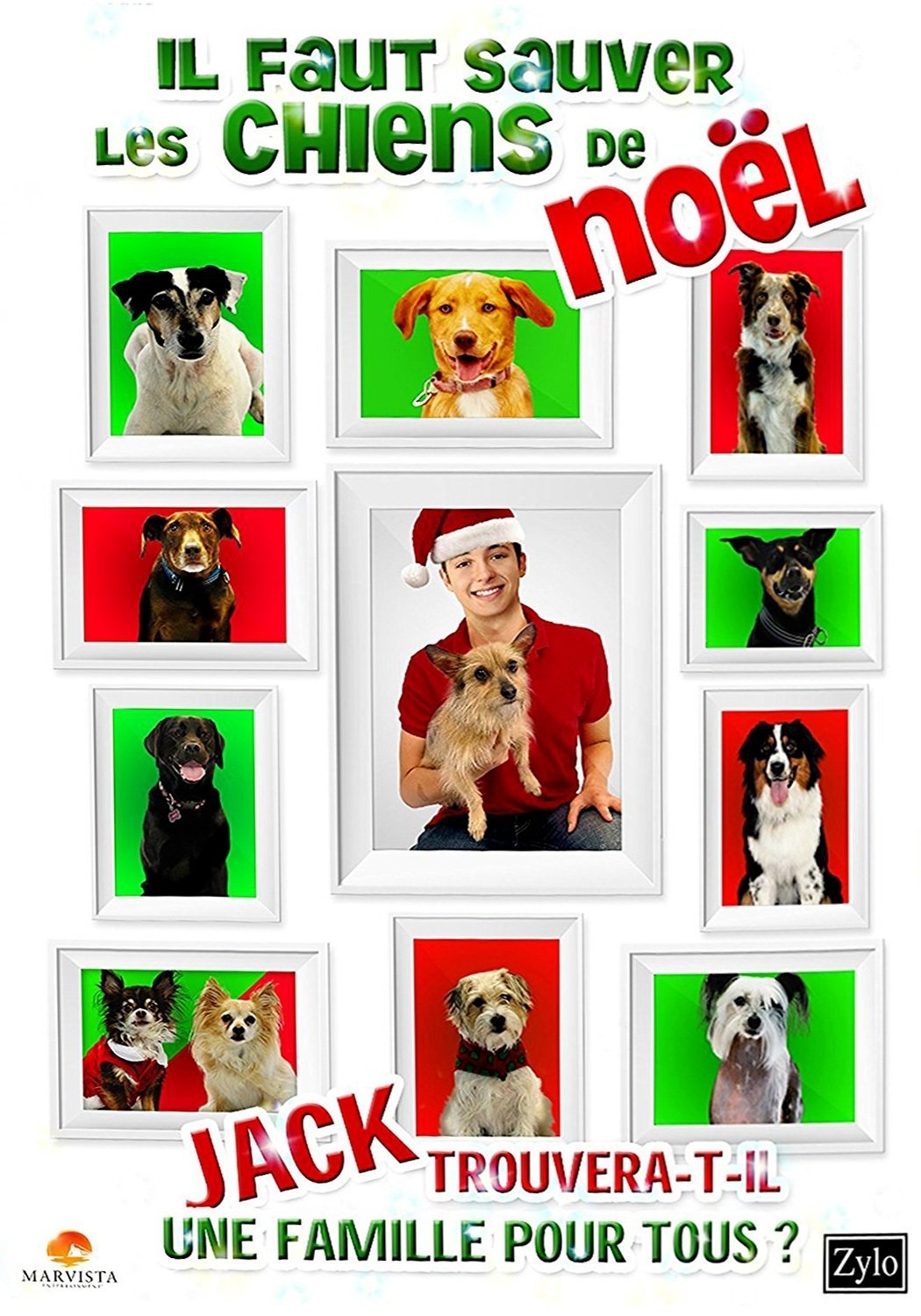 Il faut sauver les chiens de Noël streaming
