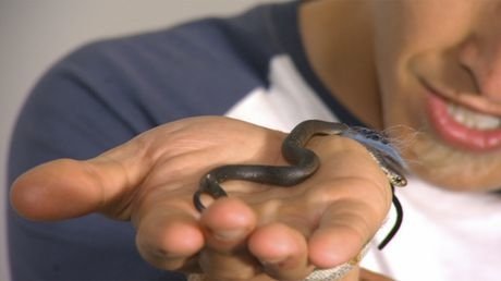 Thumbnail for Tiger Snake Season 1 Episode 3