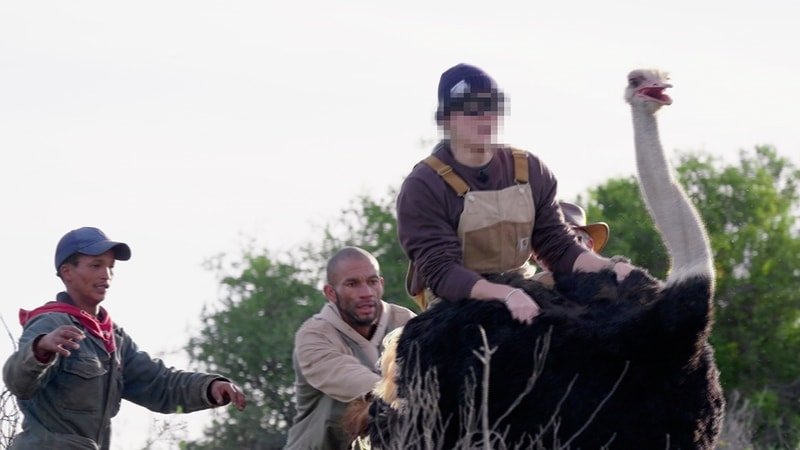 Episode 6