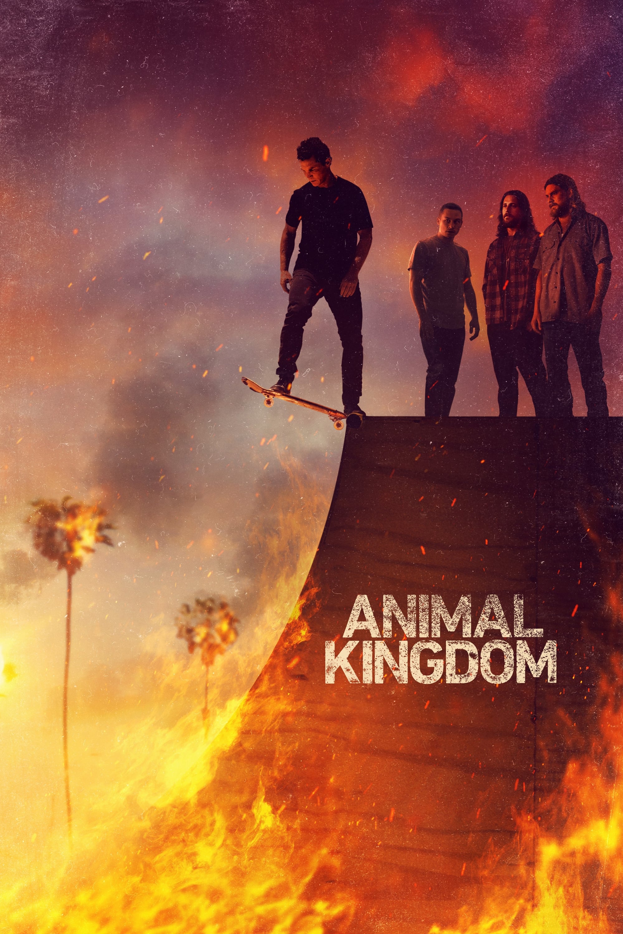 Animal Kingdom TV Shows About Dysfunctional Family
