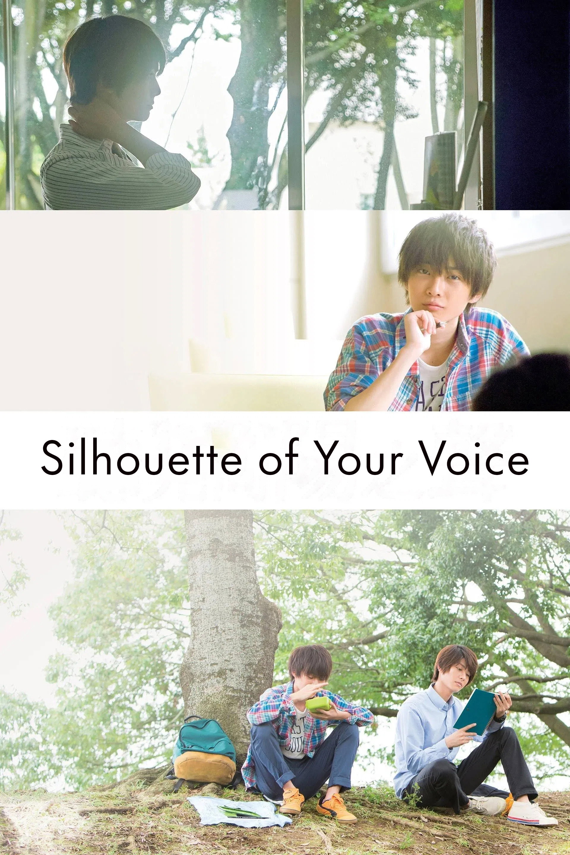 Silhouette of Your Voice