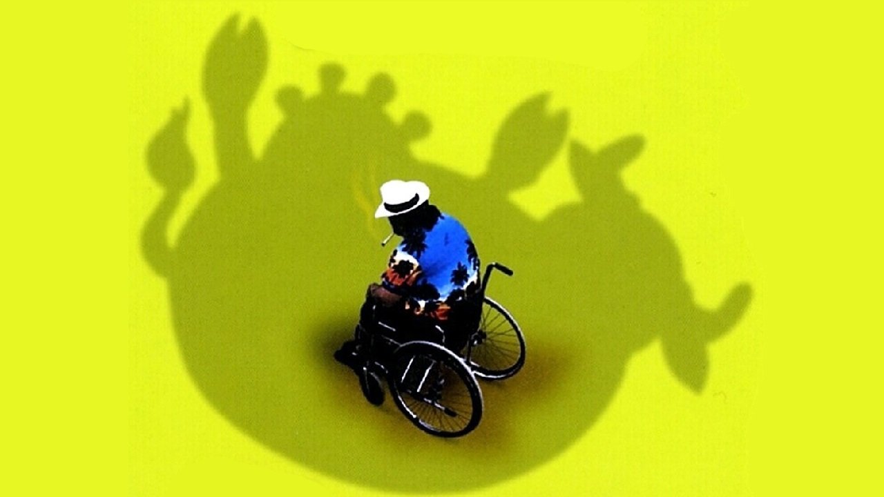 Piovono mucche (2003)