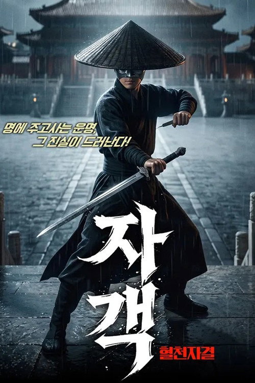刺情 poster