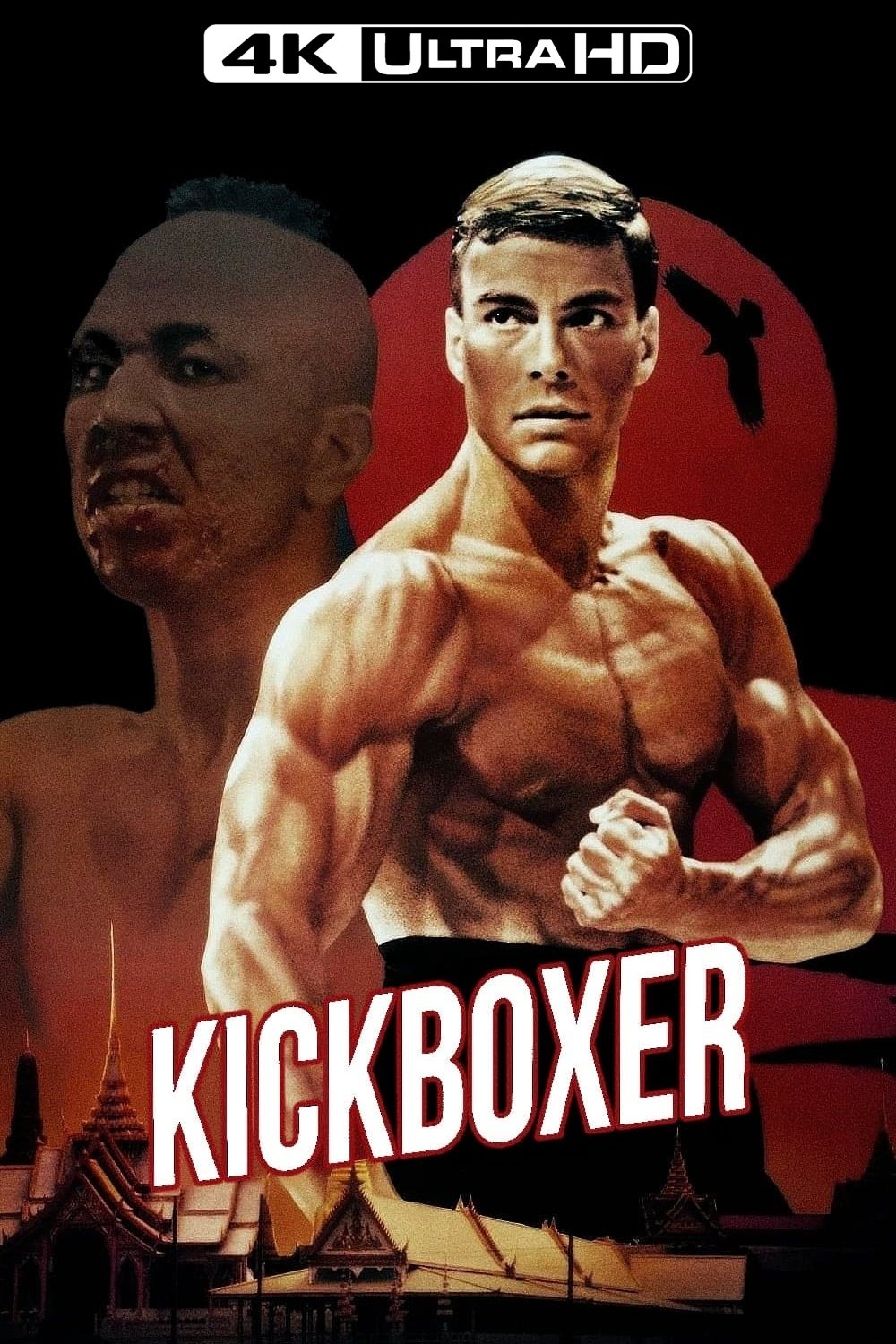 Kickboxer