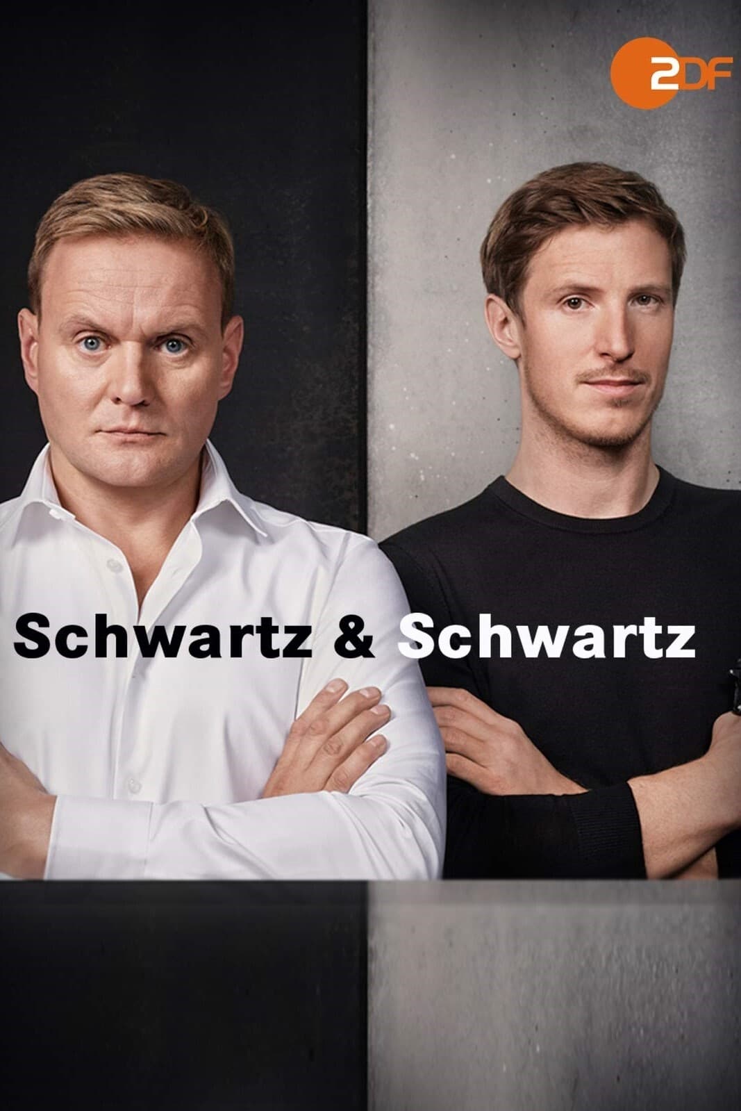 Schwartz & Schwartz TV Shows About Sibling Relationship