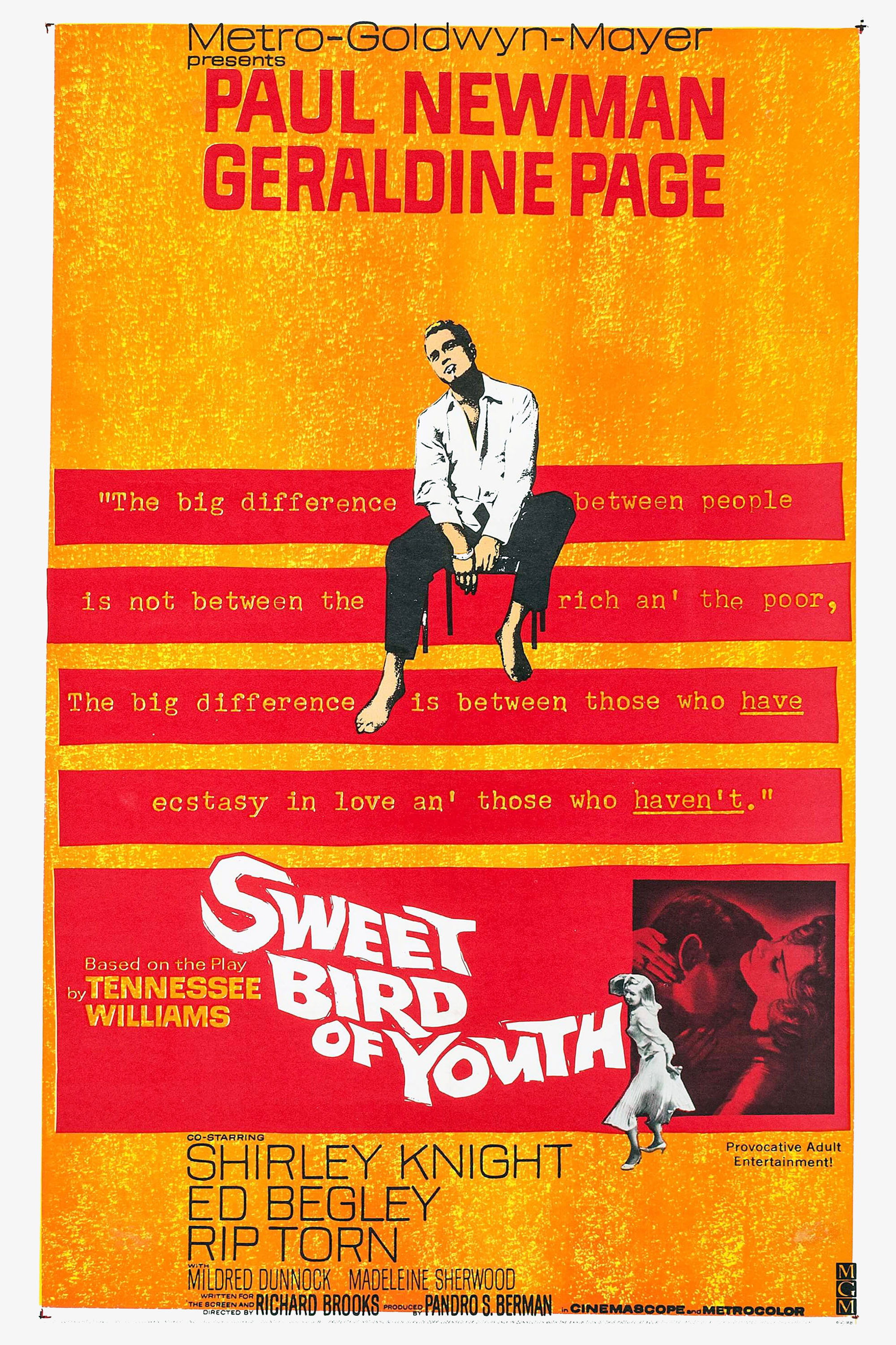 Sweet Bird of Youth