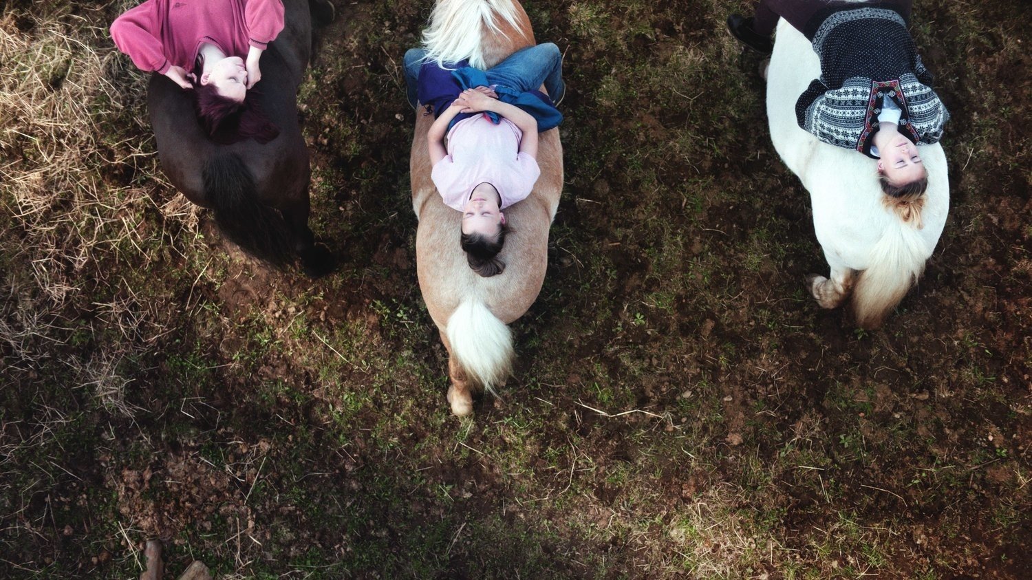 Beast (2019)