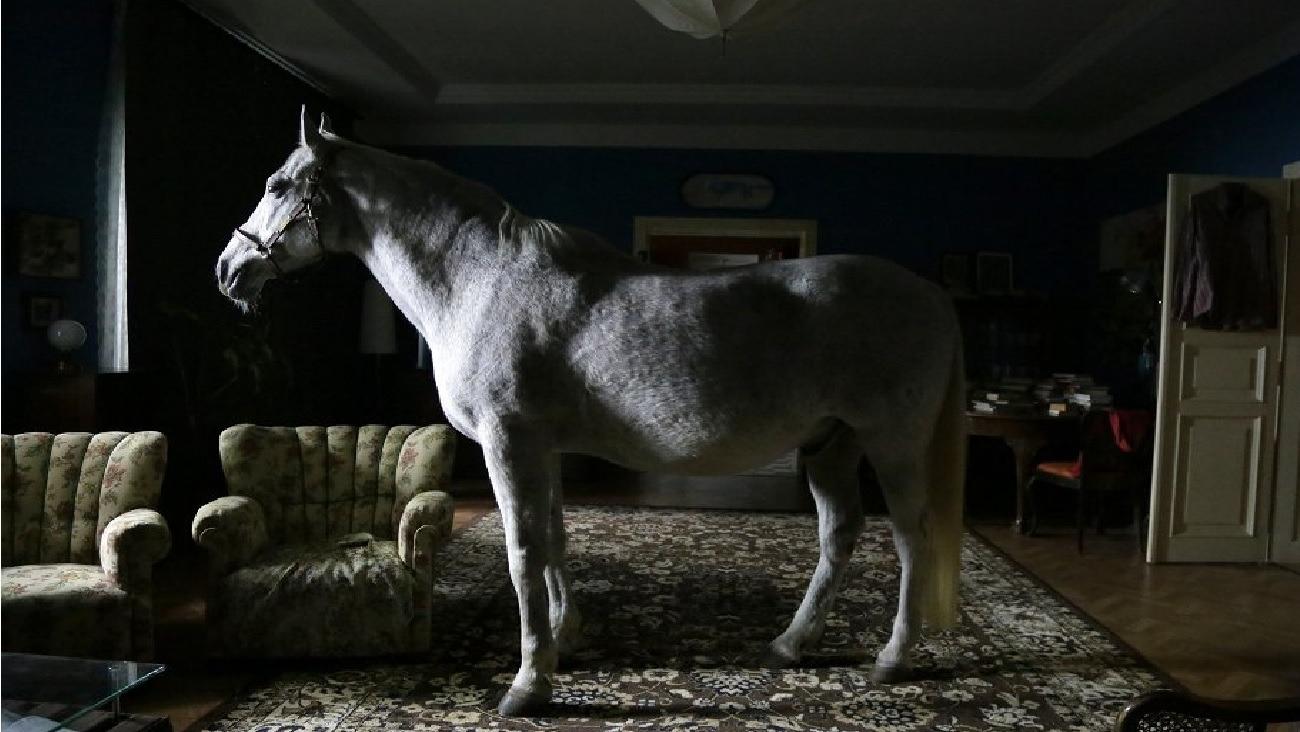 Horse (2022)