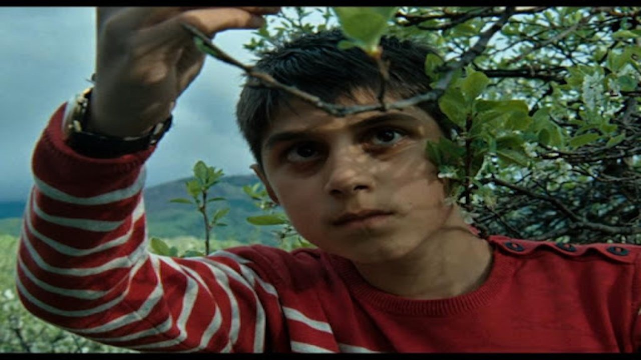 Matei copil miner (2013)