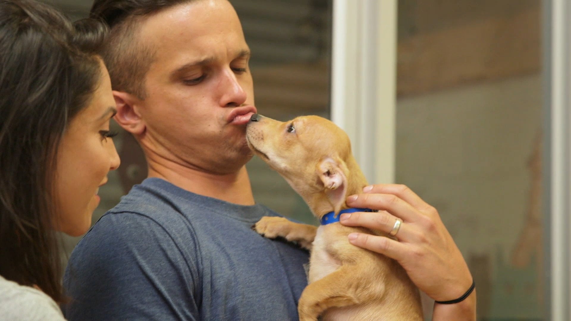 Thumbnail for A Playful Pup Season 1 Episode 3