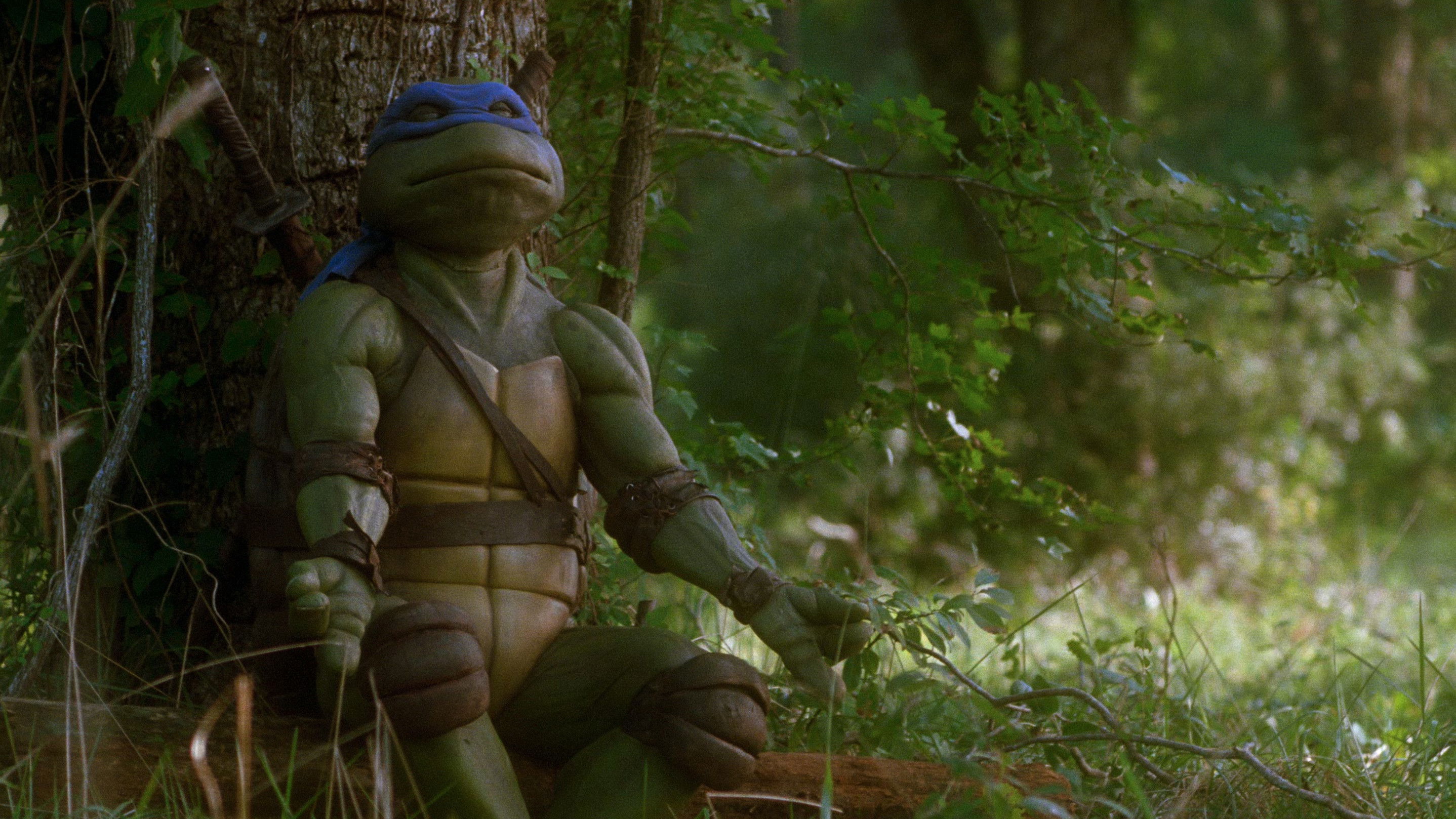 Teenage Mutant Ninja Turtles (1990)