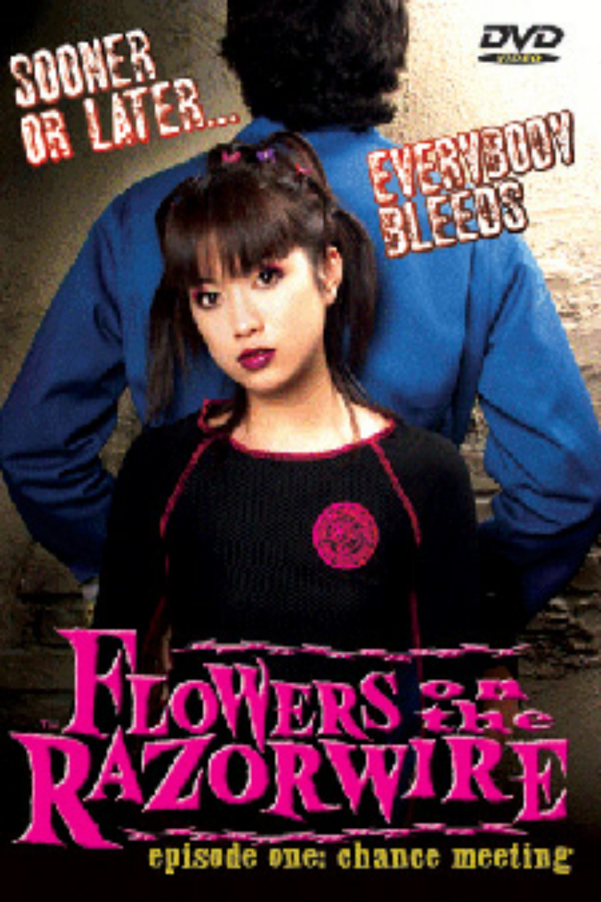 Flowers on the Razorwire: Chance Meeting