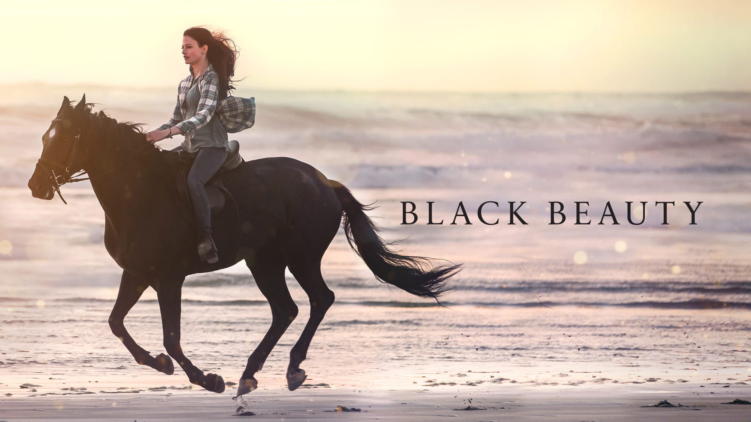 Black Beauty (2020)