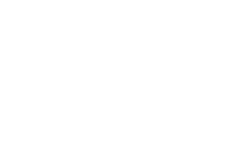 The Barbarian and the Geisha