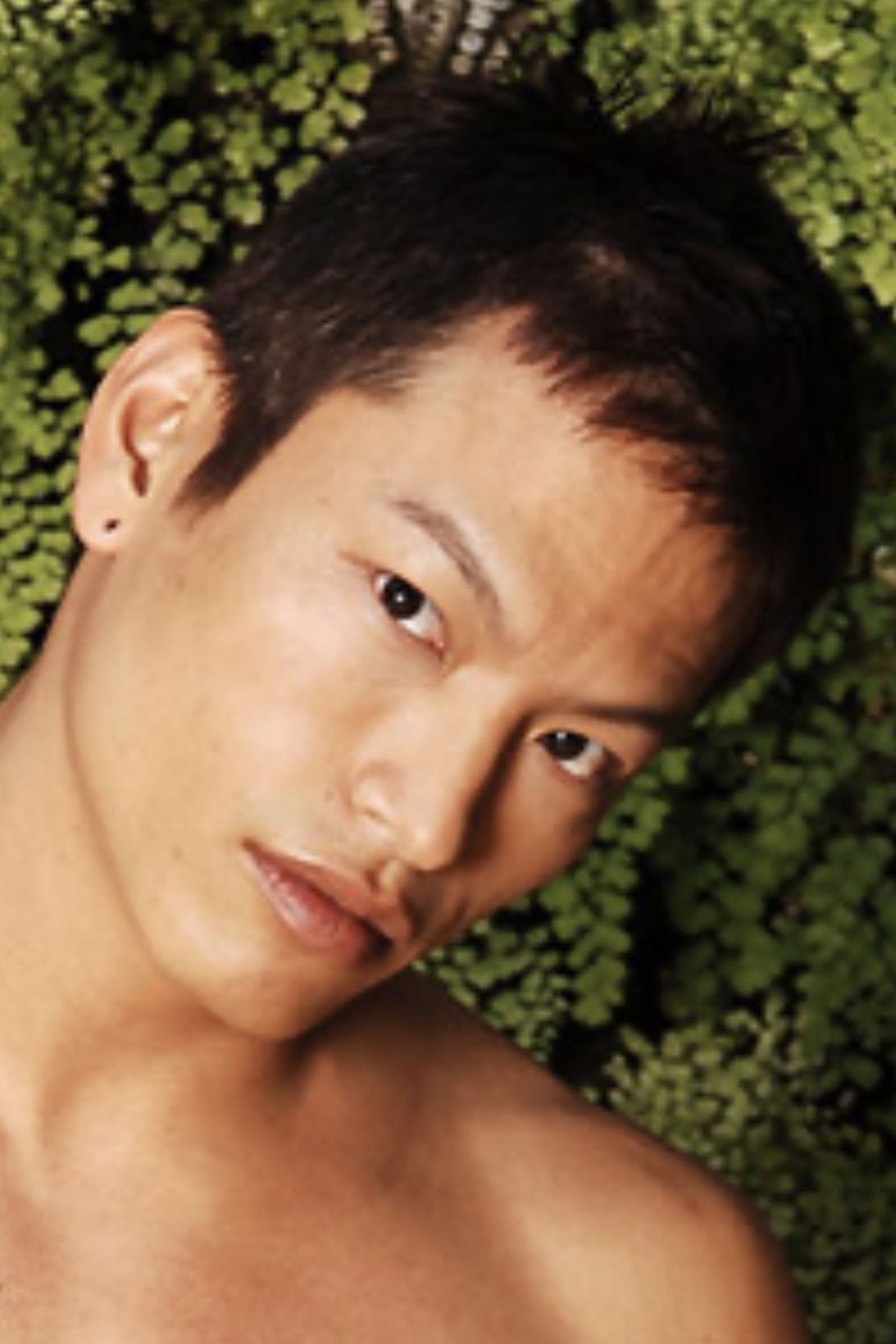 et billede af Michaely