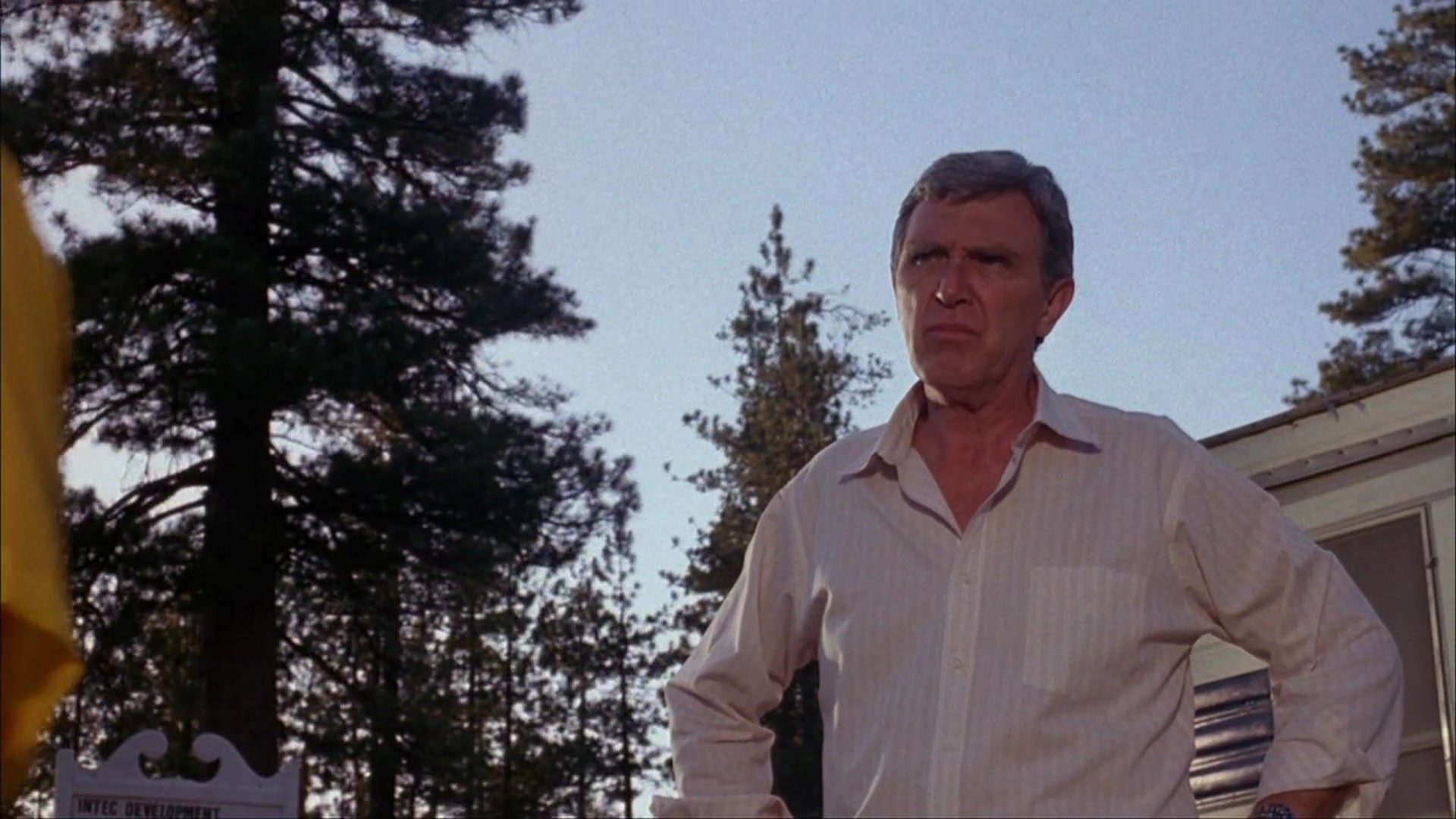The Nest (1988)