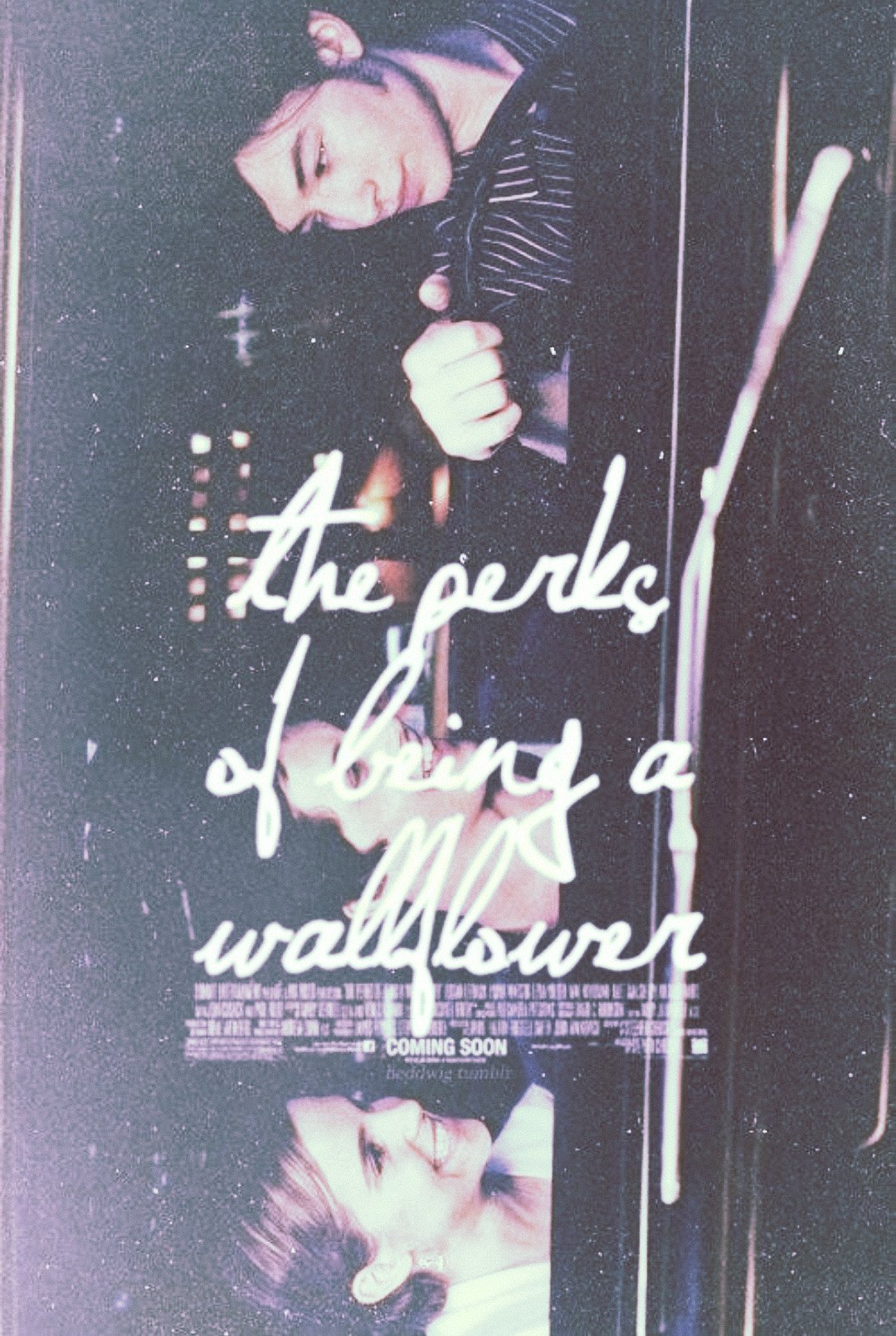 The Perks of Being a Wallflower
