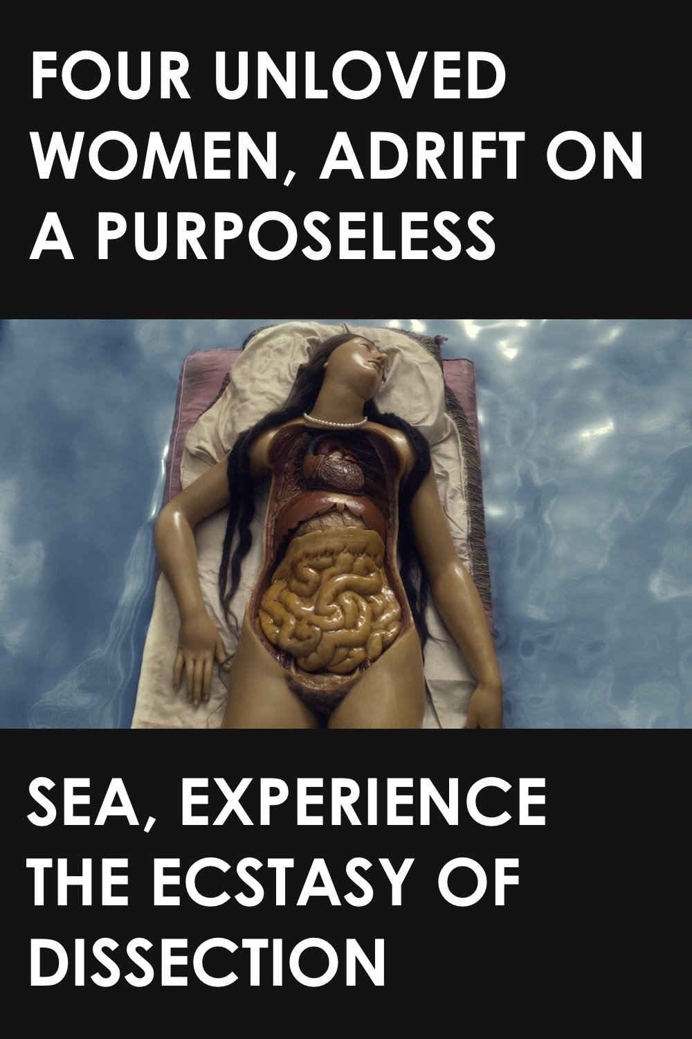 Four Unloved Women, Adrift on a Purposeless Sea, Experience the Ecstasy of Dissection