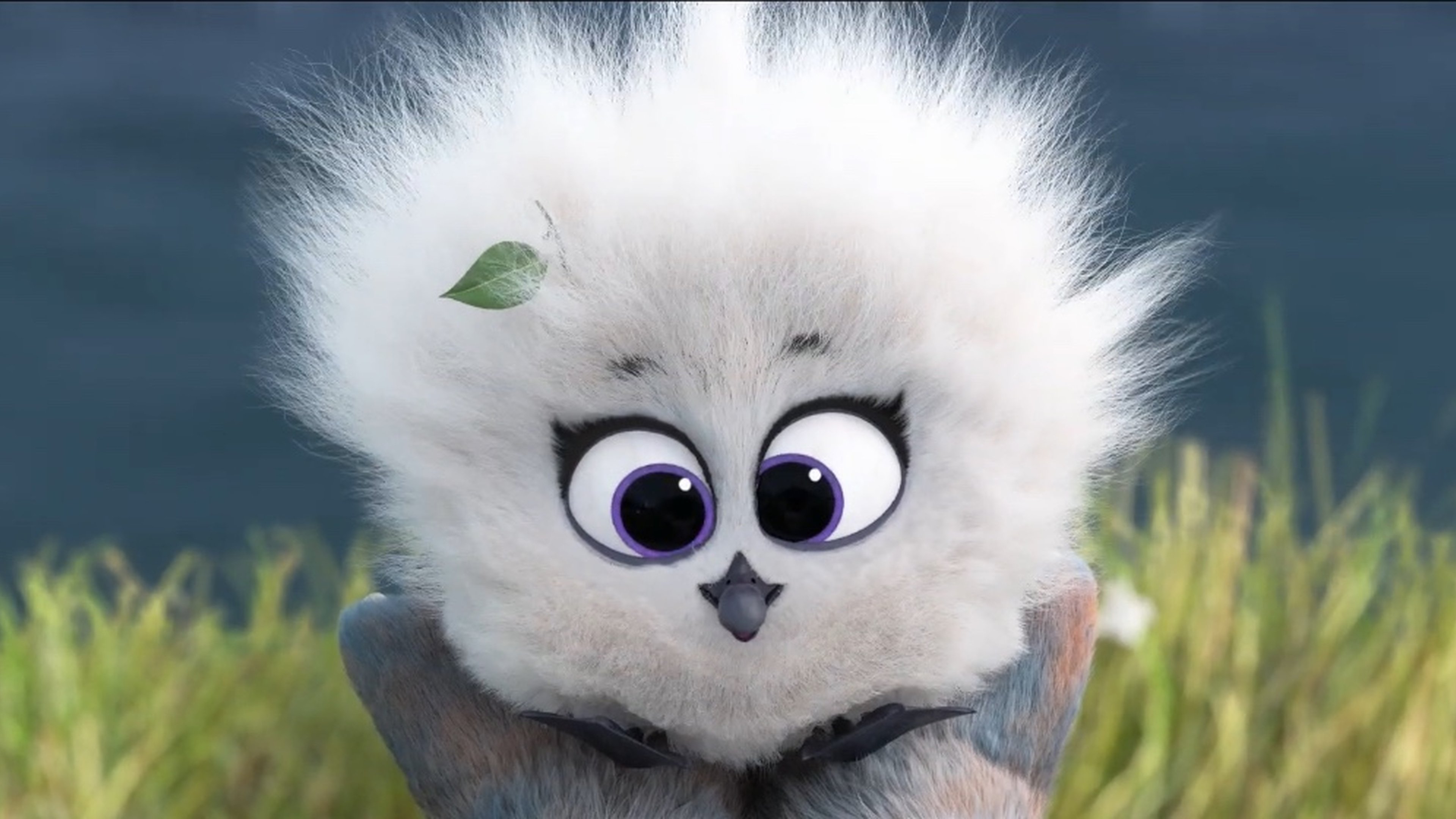 Bilby (2019)