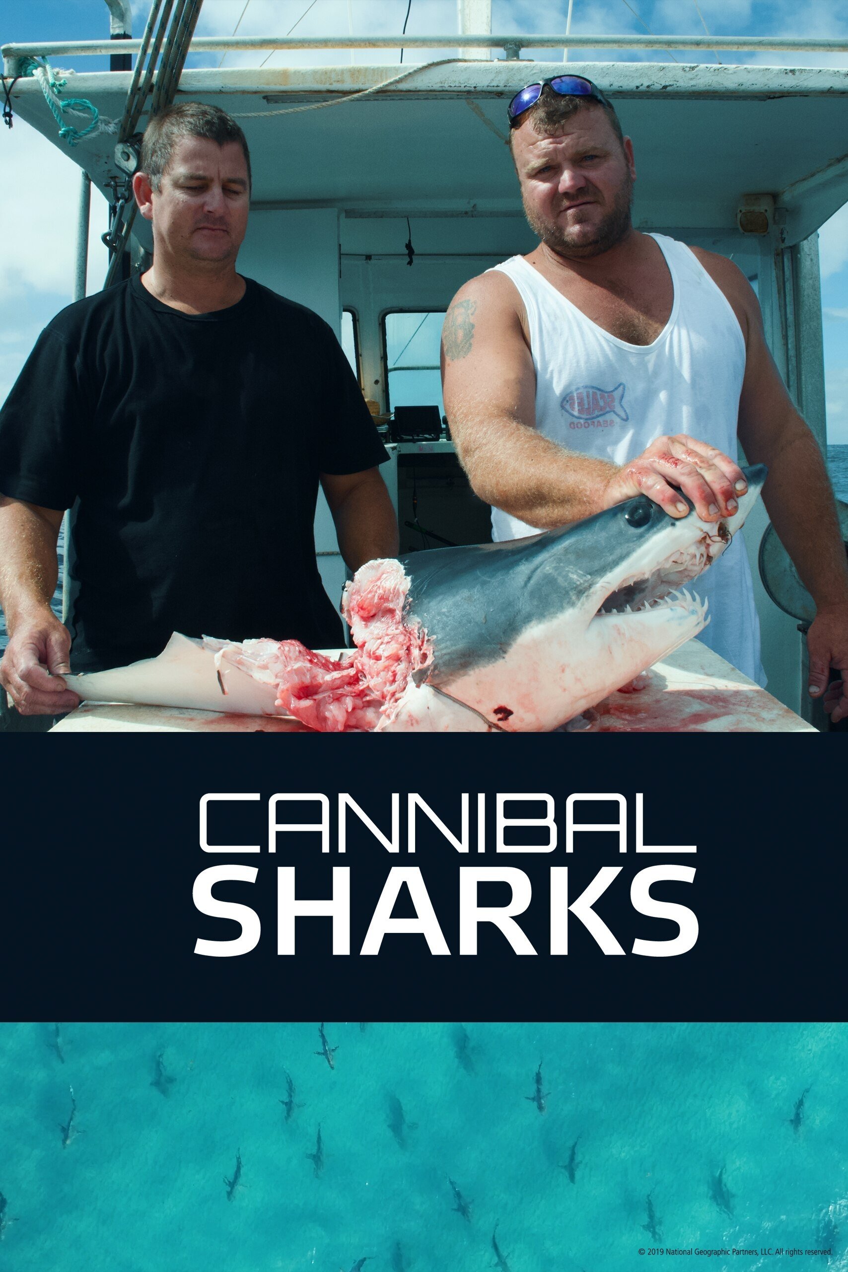 Cannibal Sharks