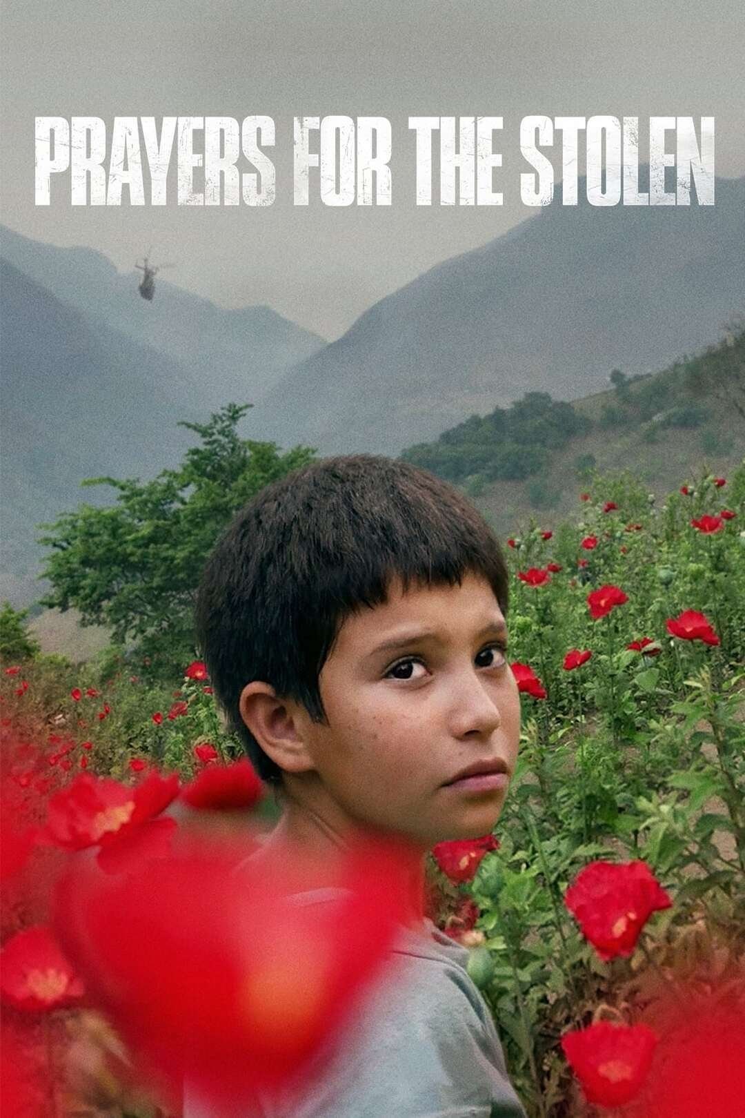 Prayers for the Stolen