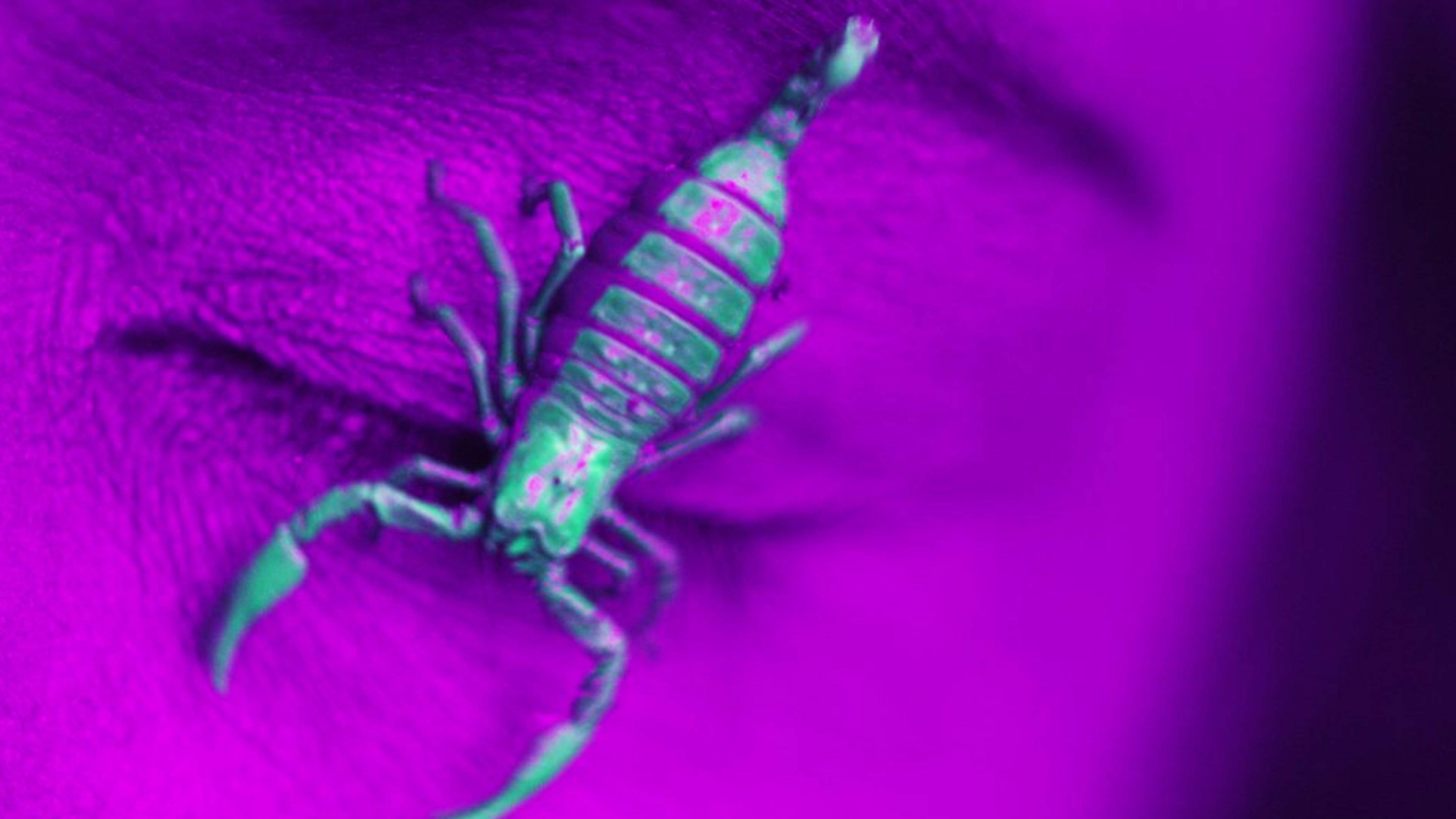 Ultraviolet (2018)