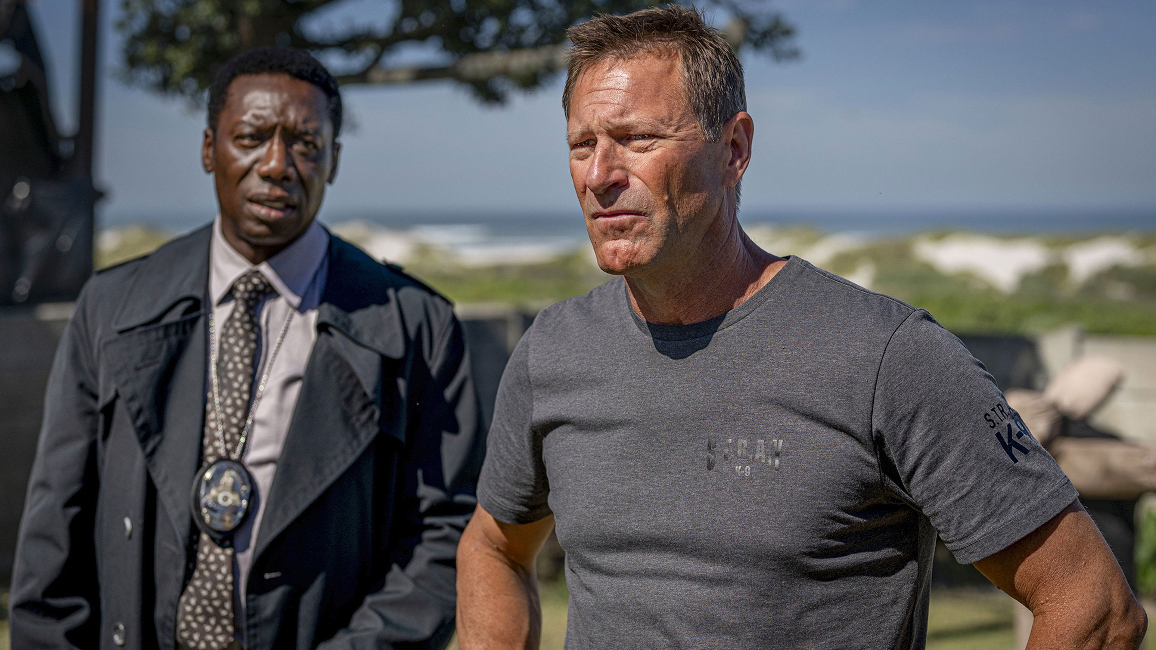 Muzzle: City of Wolves backdrop