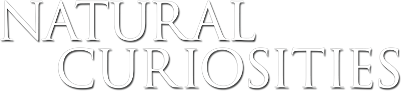 David Attenborough's Natural Curiosities Logo