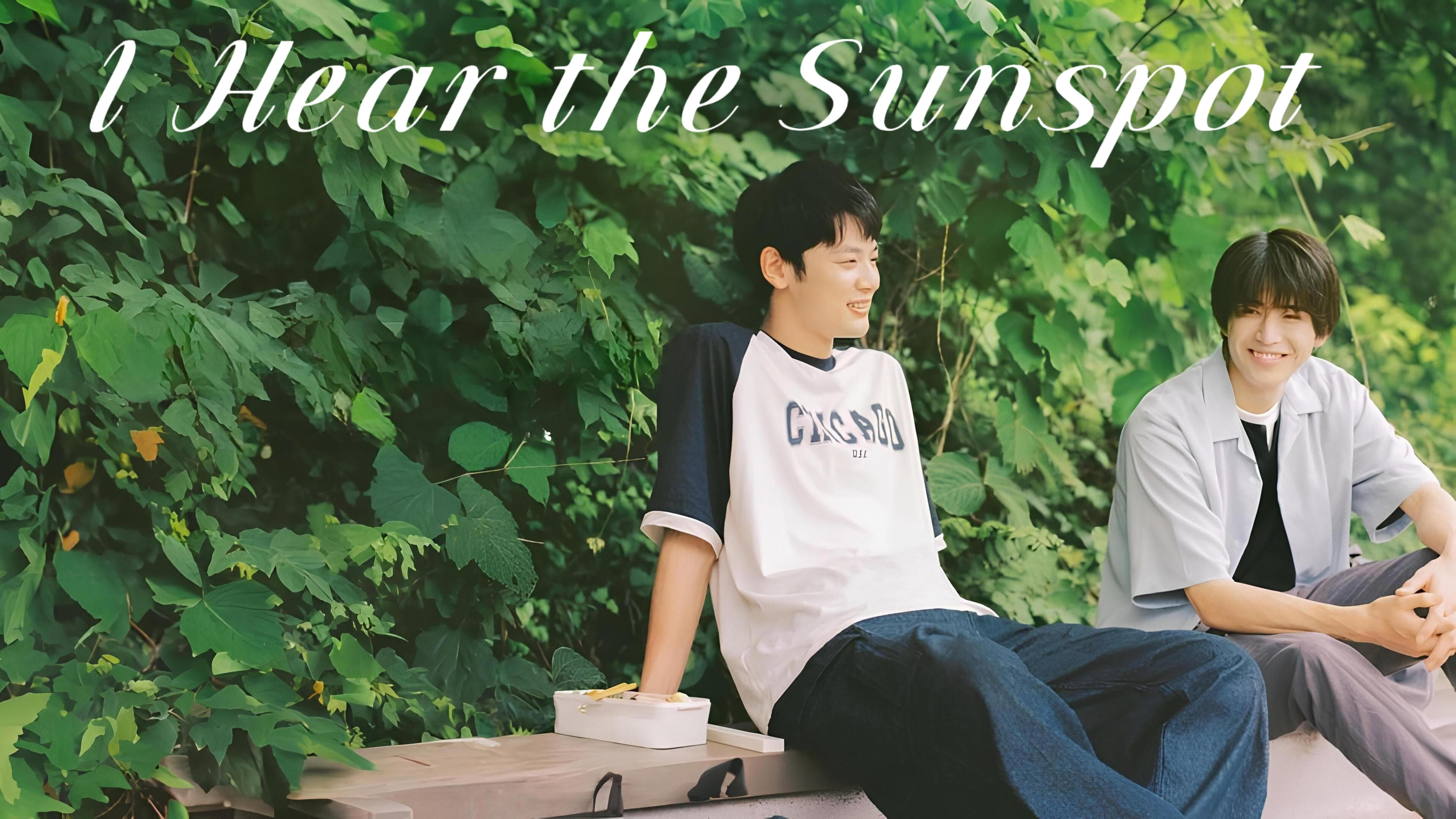 I Hear the Sunspot