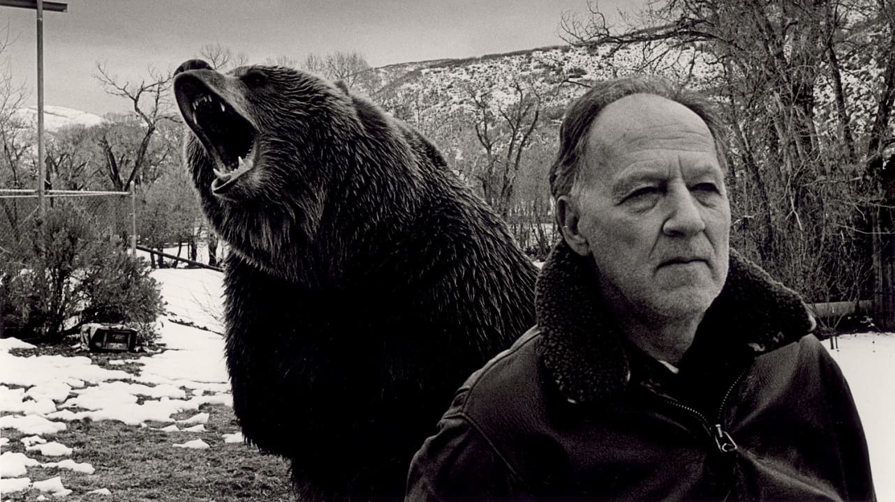 Grizzly Man Backdrop Image