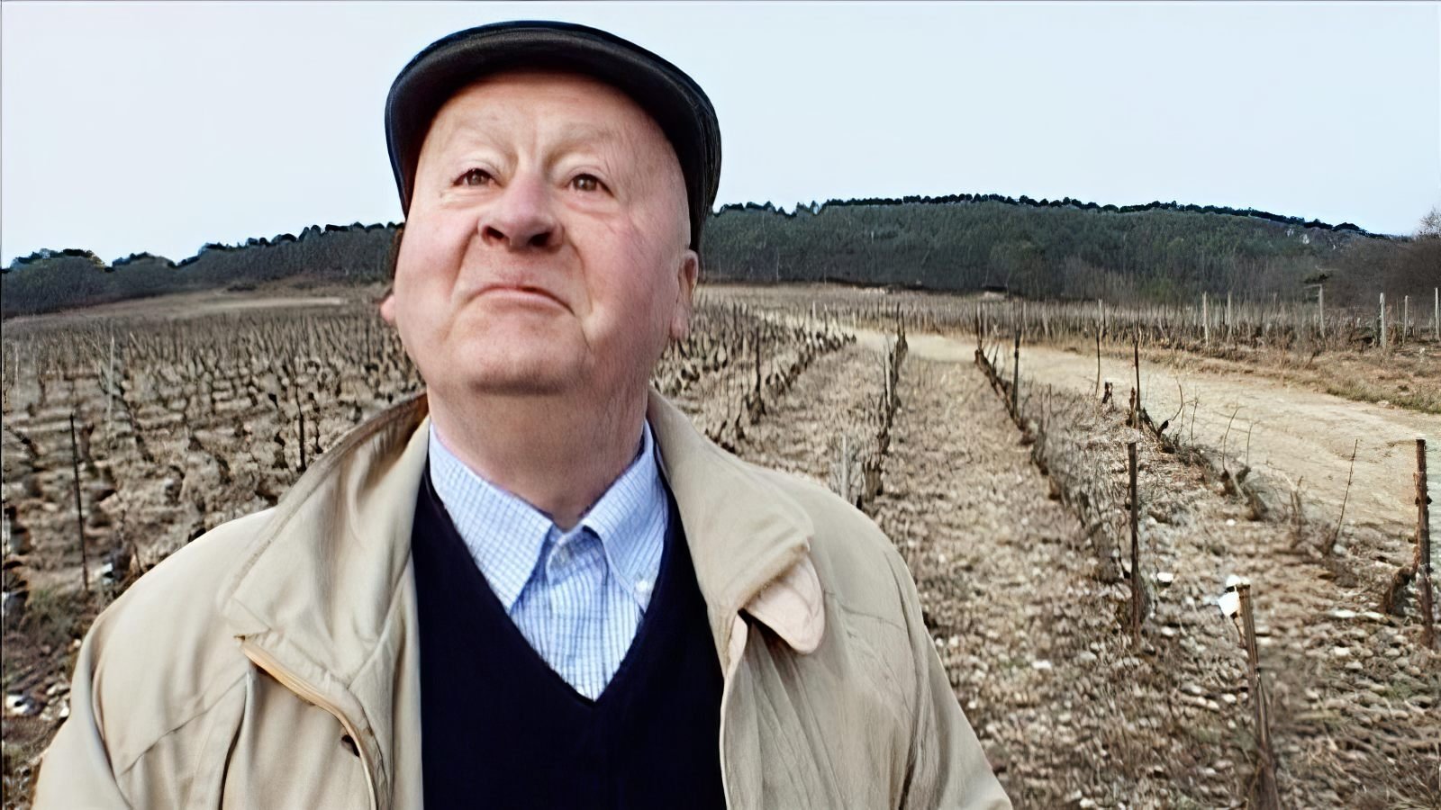 Mondovino (2004)