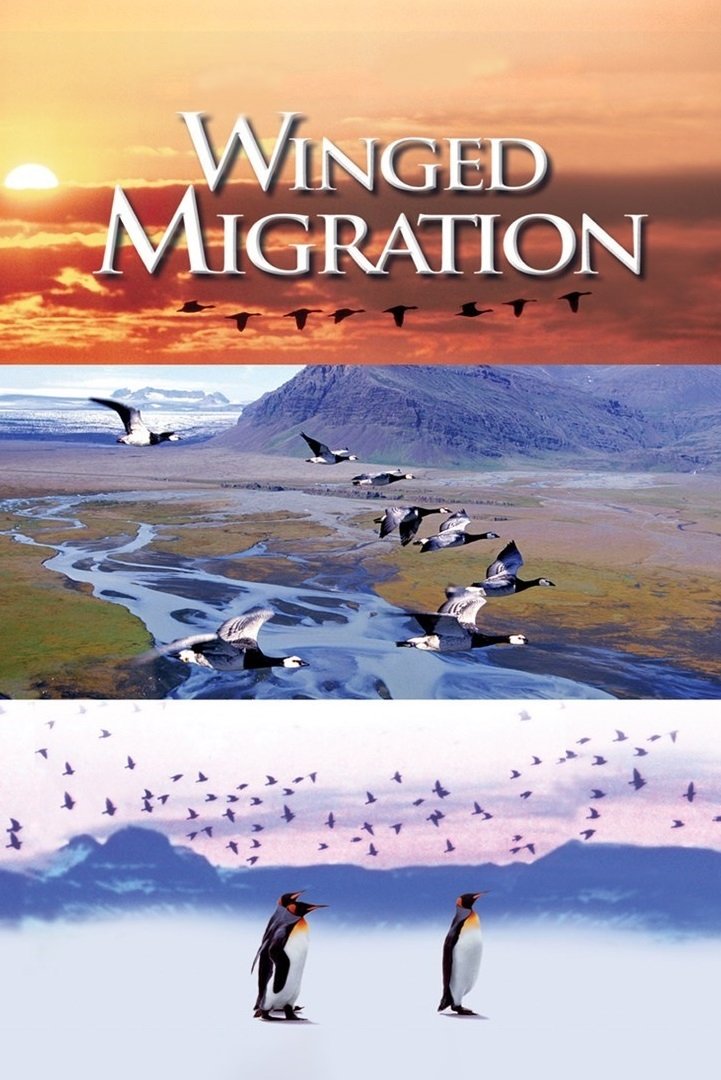 Winged Migration