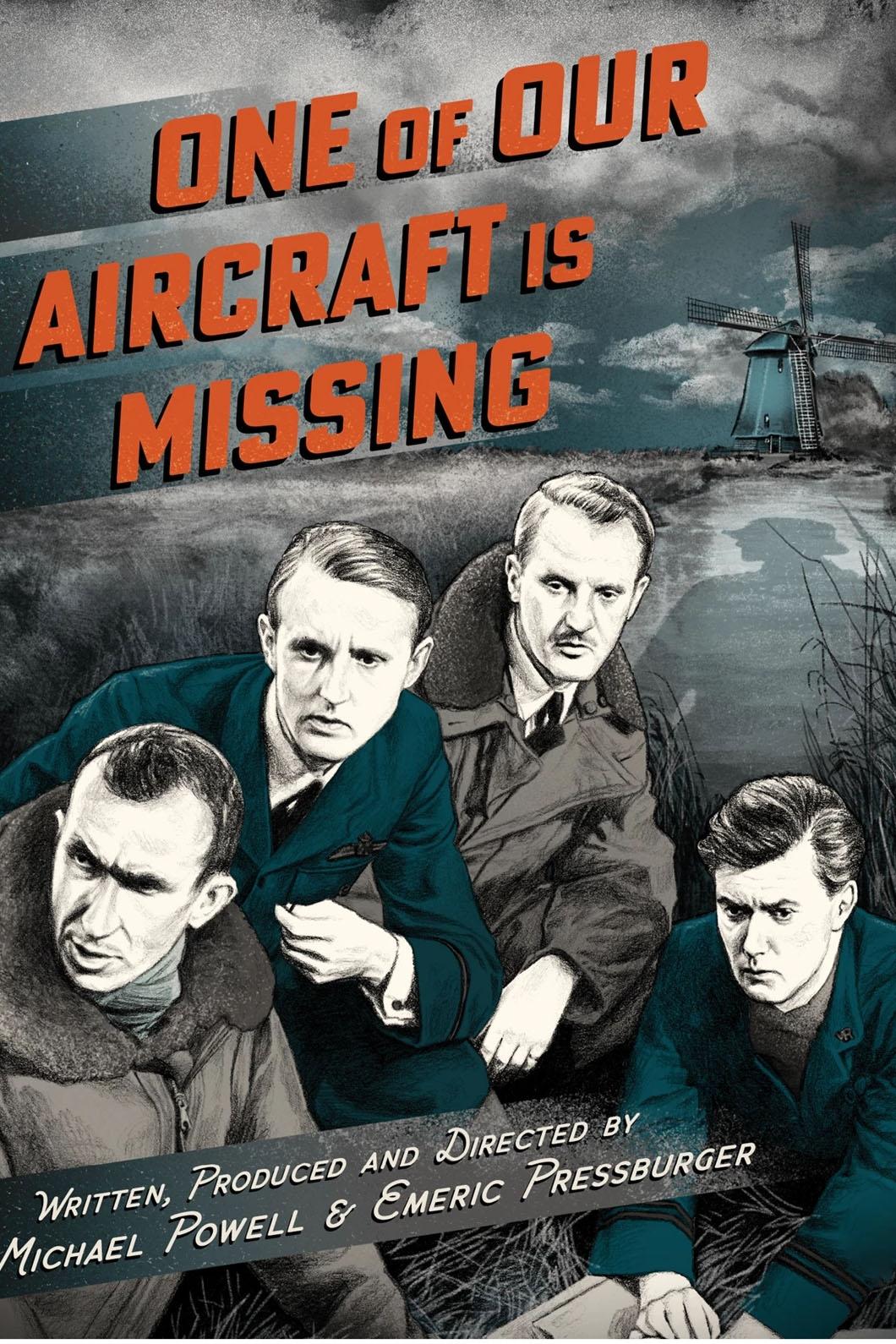 One of Our Aircraft Is Missing