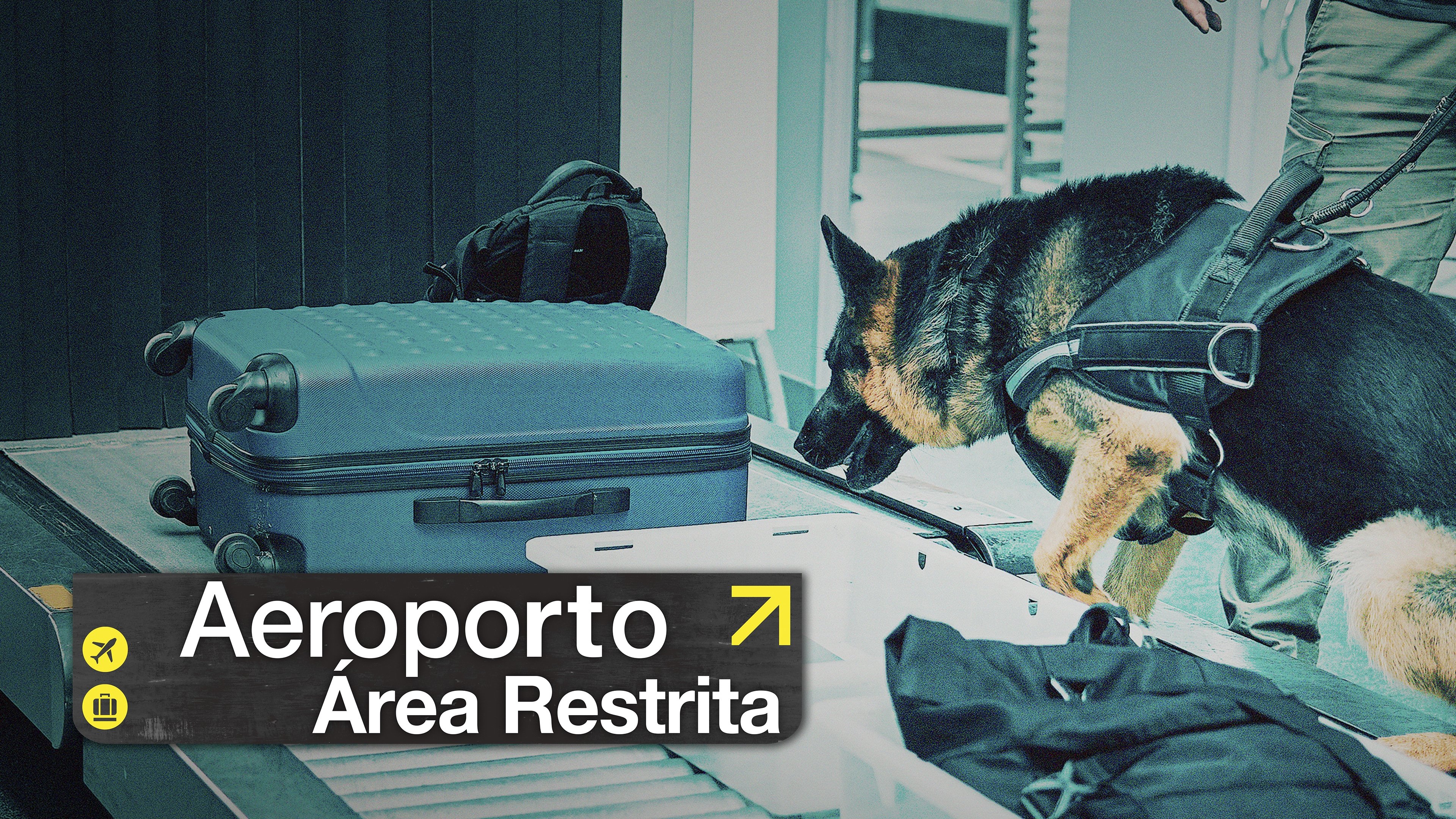 Airport Brazil: Restricted Areas