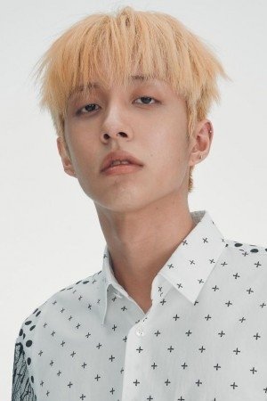 et billede af Holland