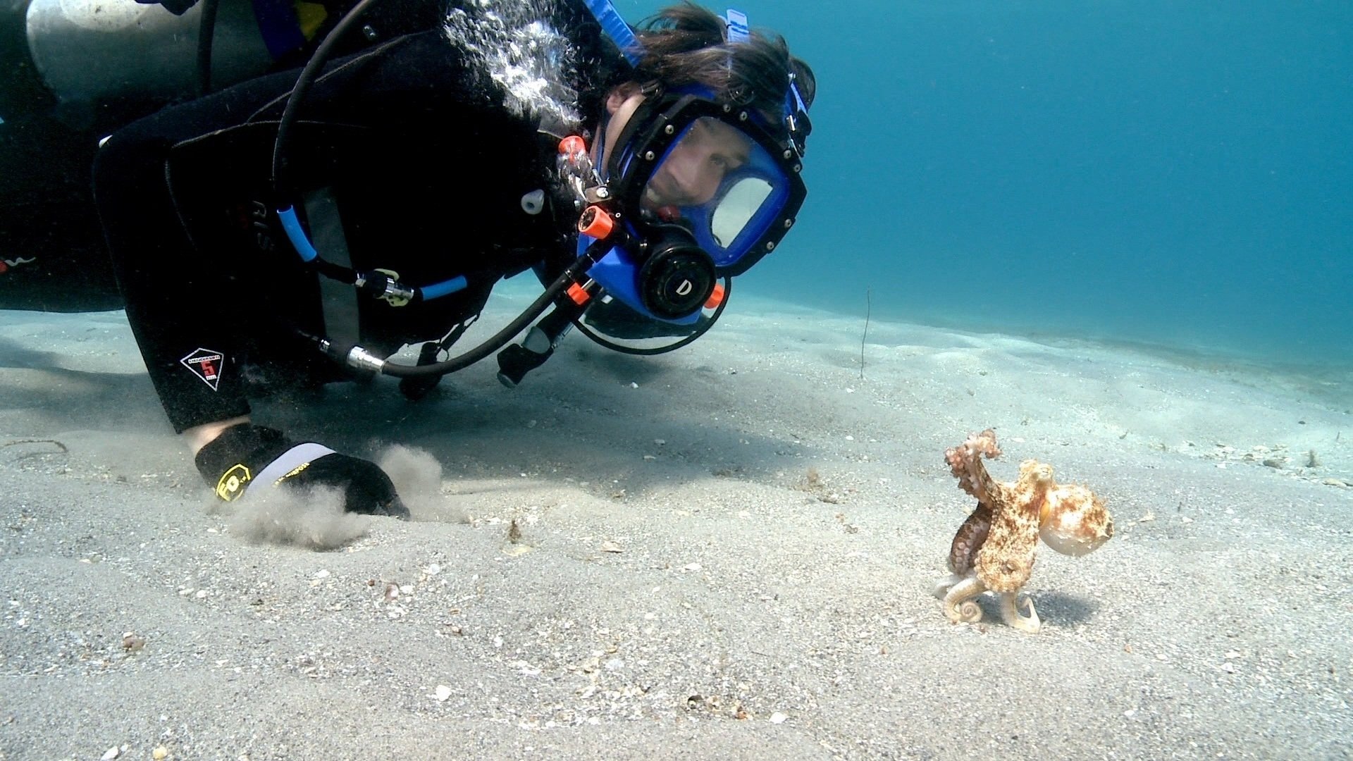 Wonders of Life
