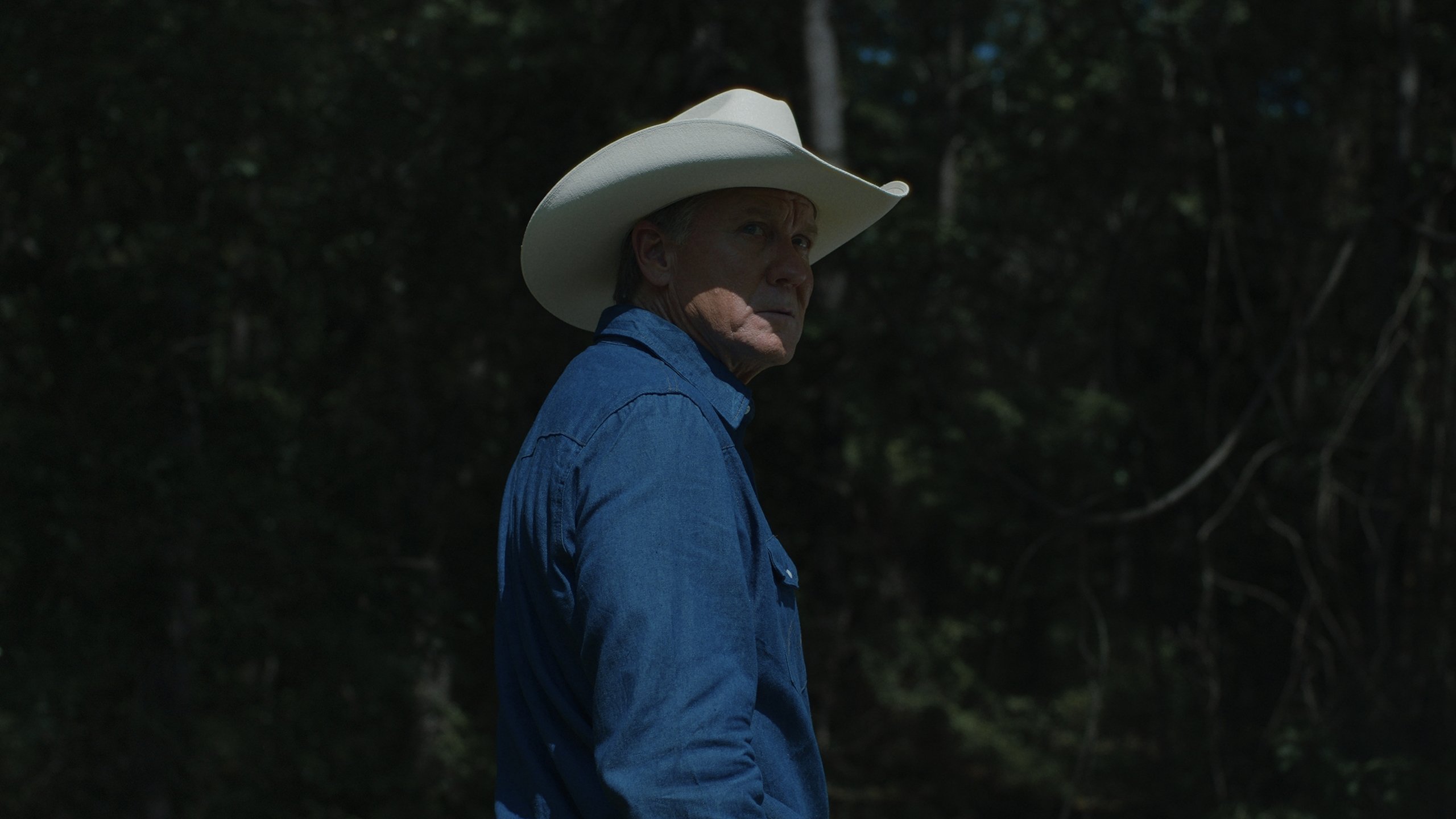 Pasture Prime backdrop cover
