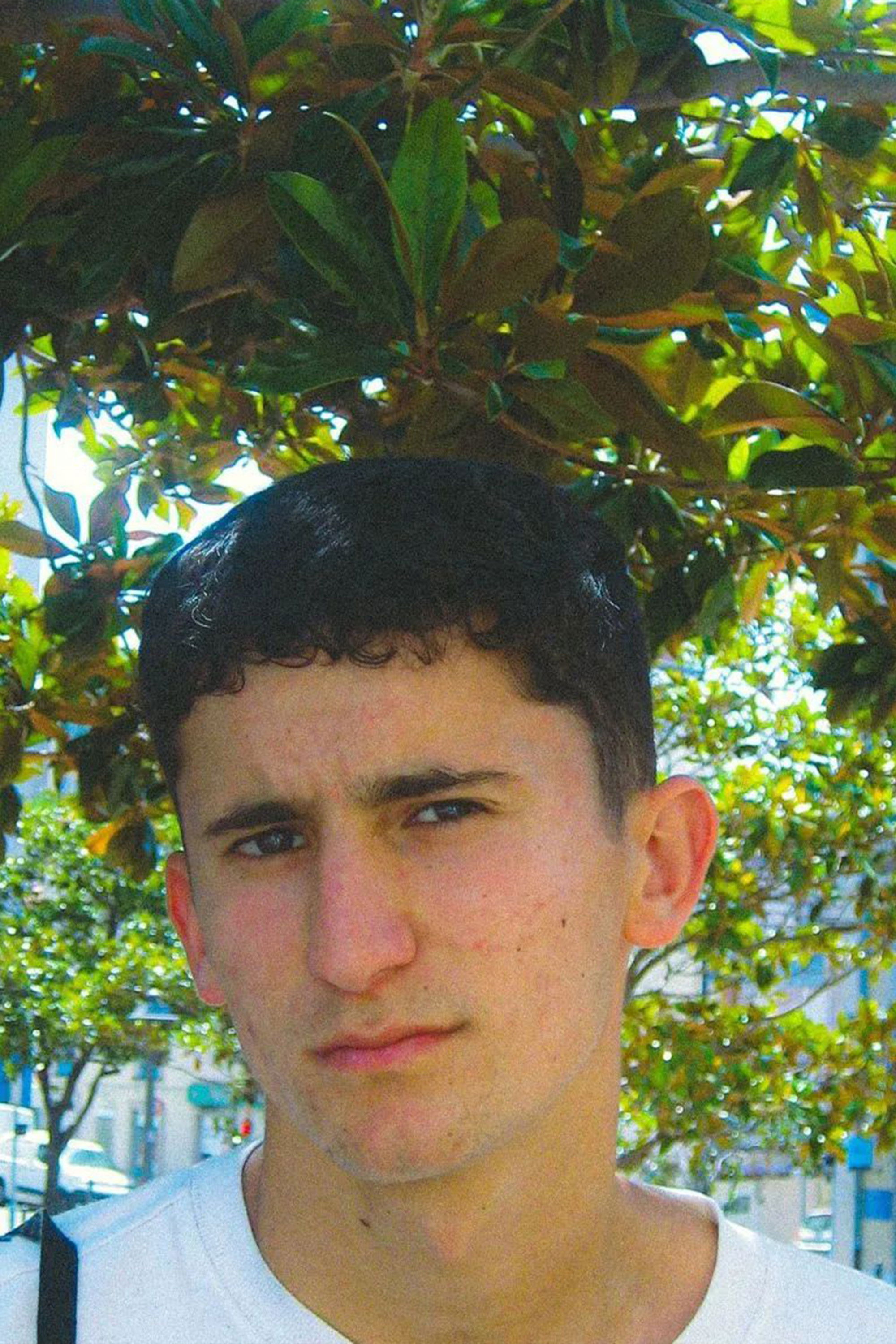 et billede af Guilherme Santos