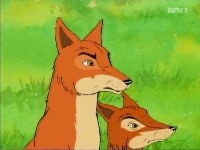 Les Animaux du Bois de Quat'sous - L’aventure des oiseaux