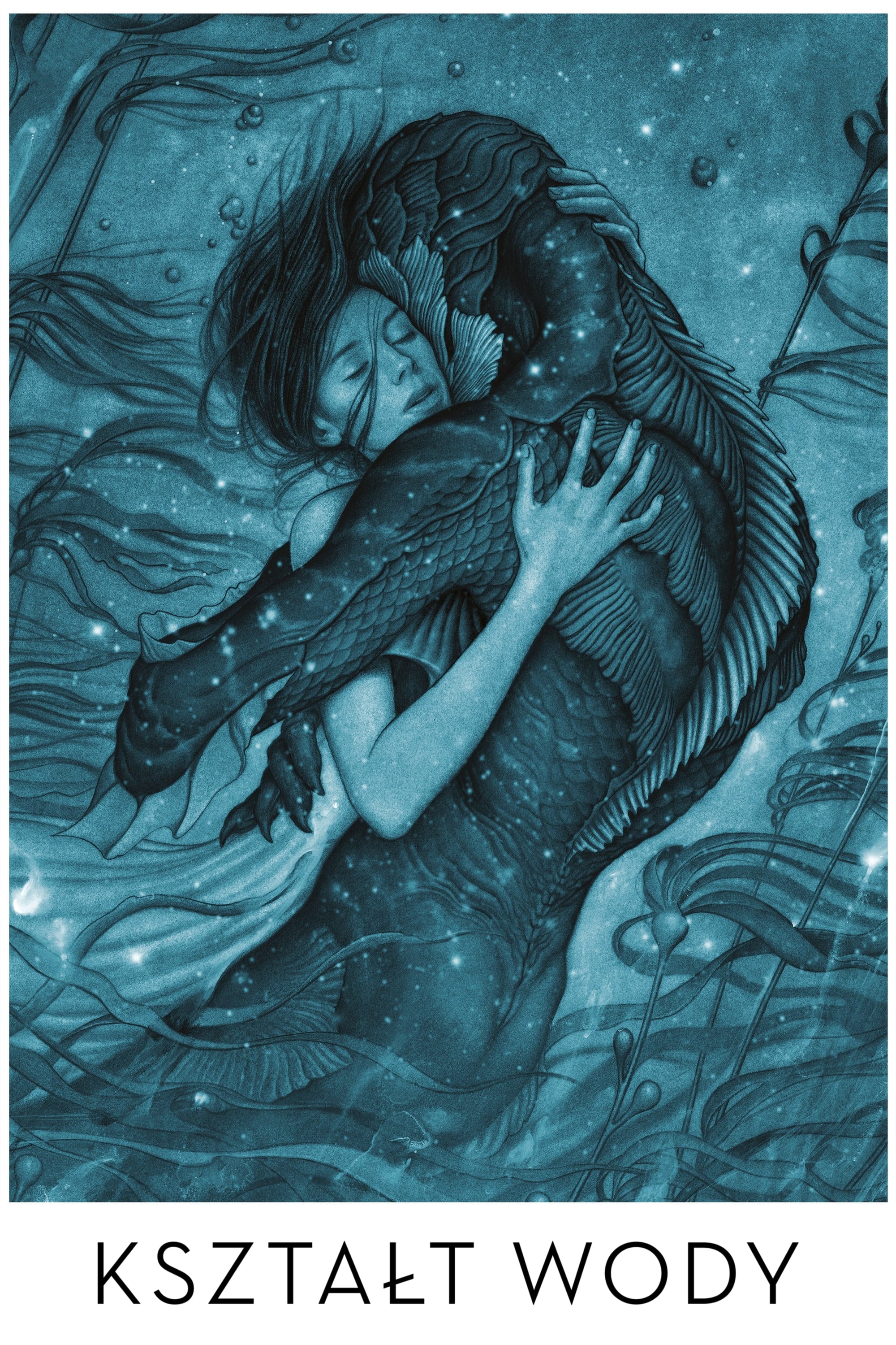 The Shape of Water