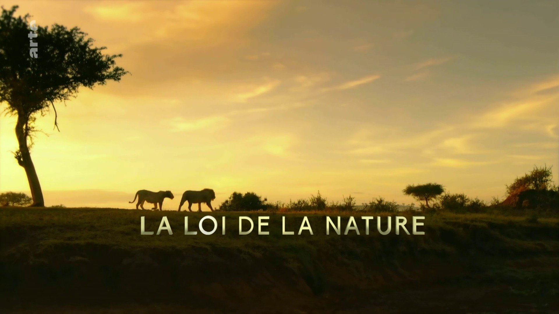 La loi de la nature