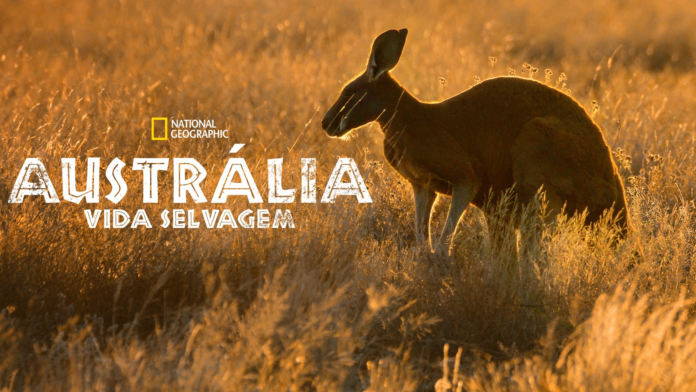 Wild Australia