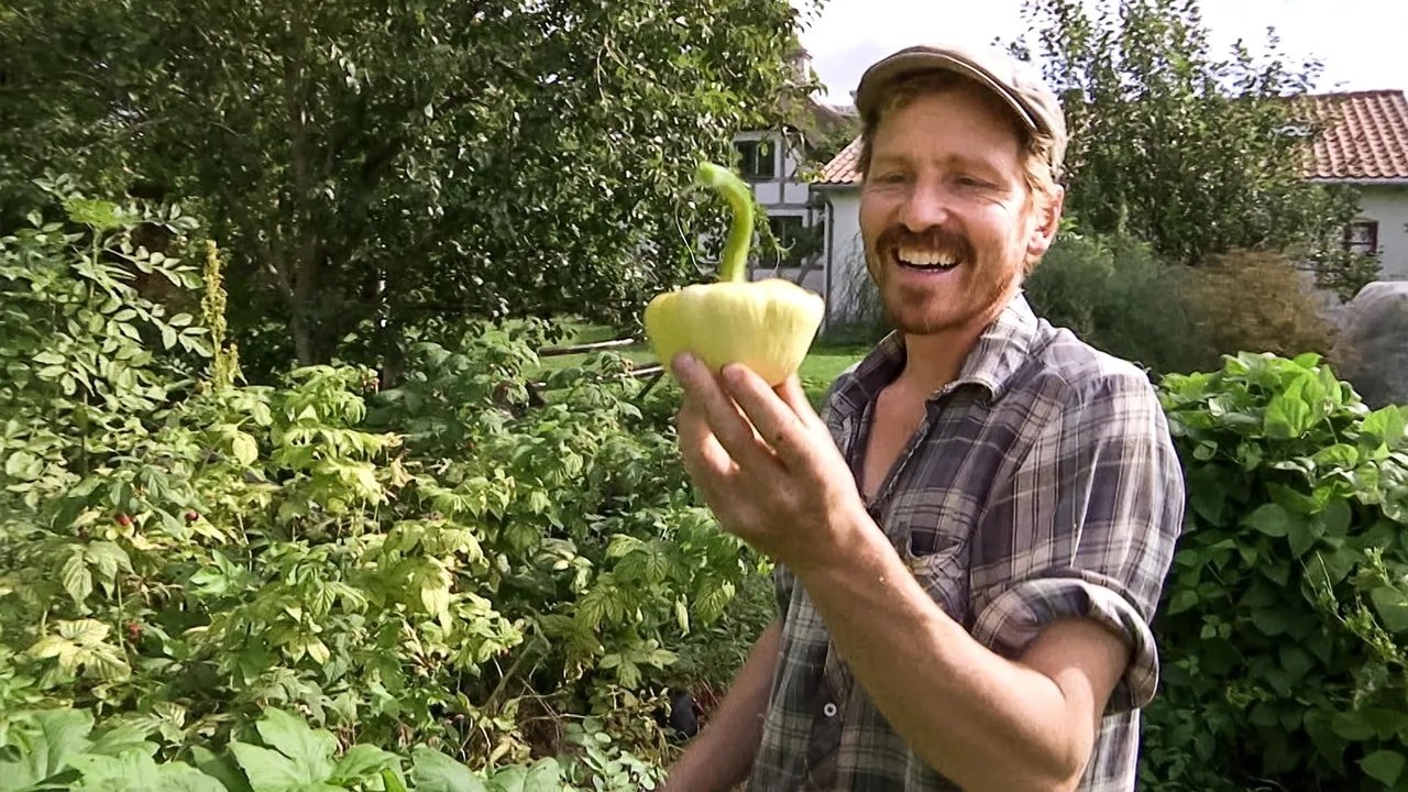 Frank & Kastaniegaarden