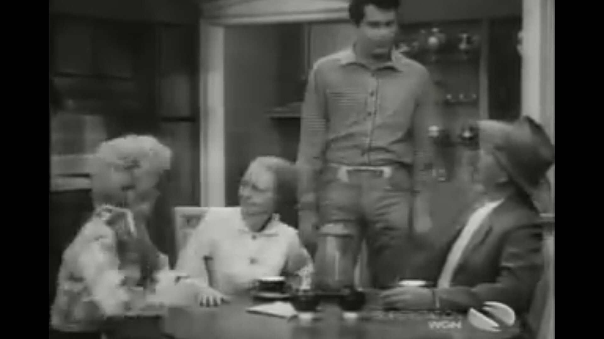 The Beverly Hillbillies