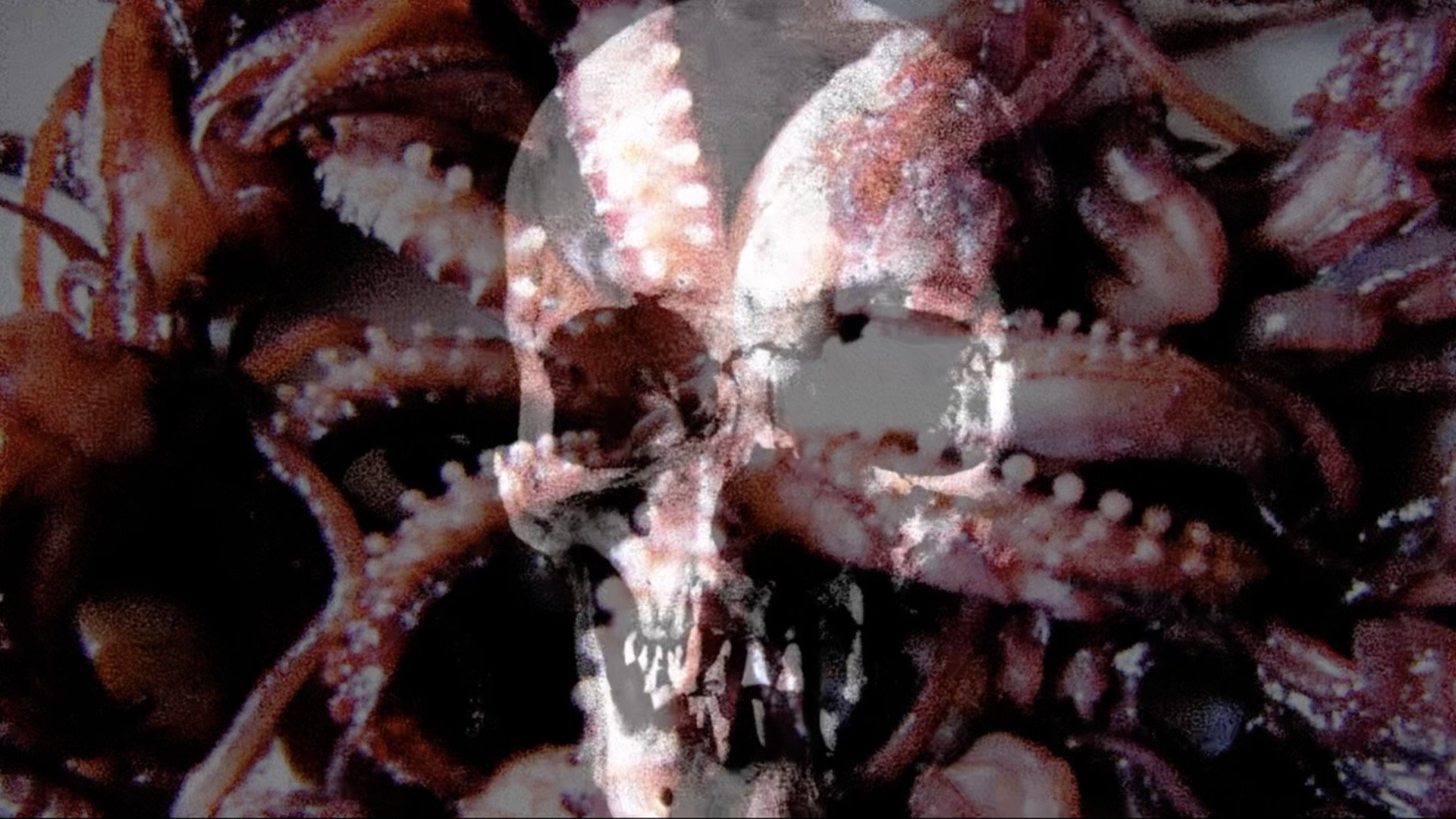 Purgatory for Epiphanea