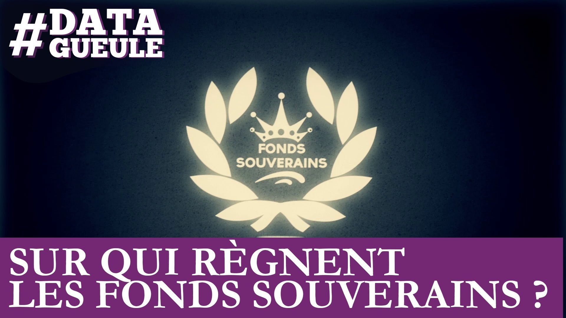 Data Gueule - Sur qui règnent les fonds souverains ?