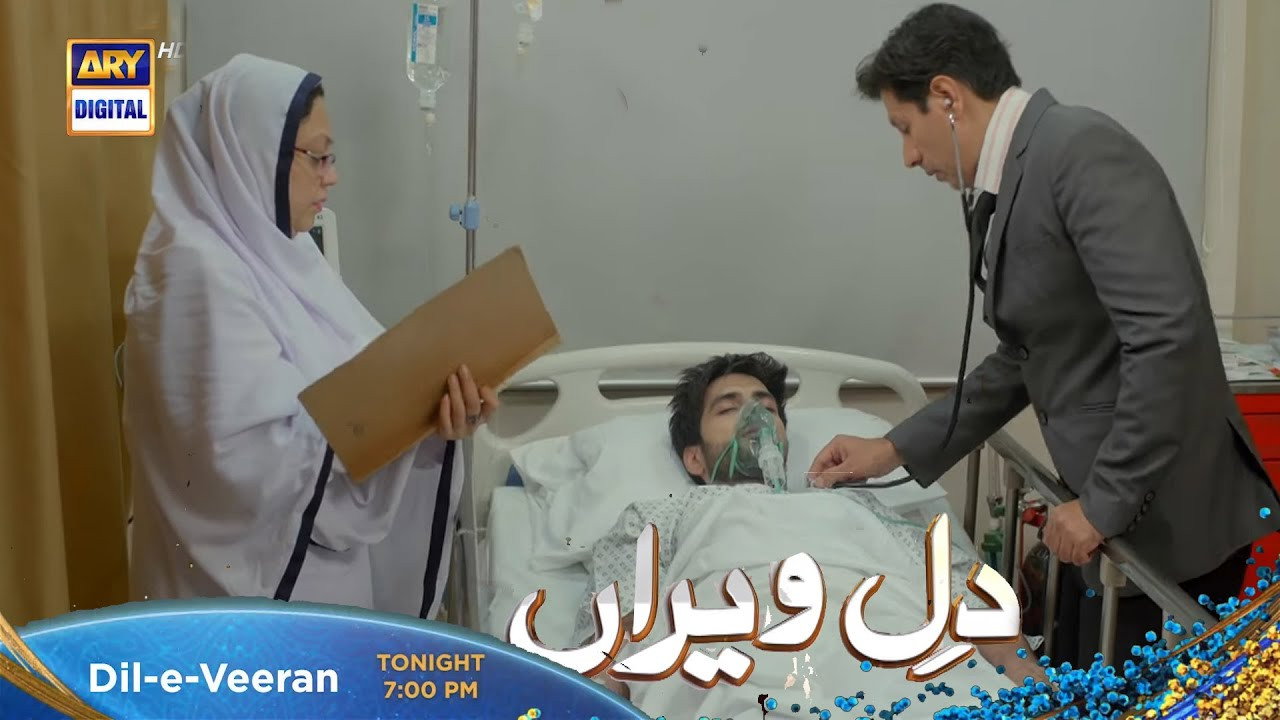 Dil e Veeran - Season 1